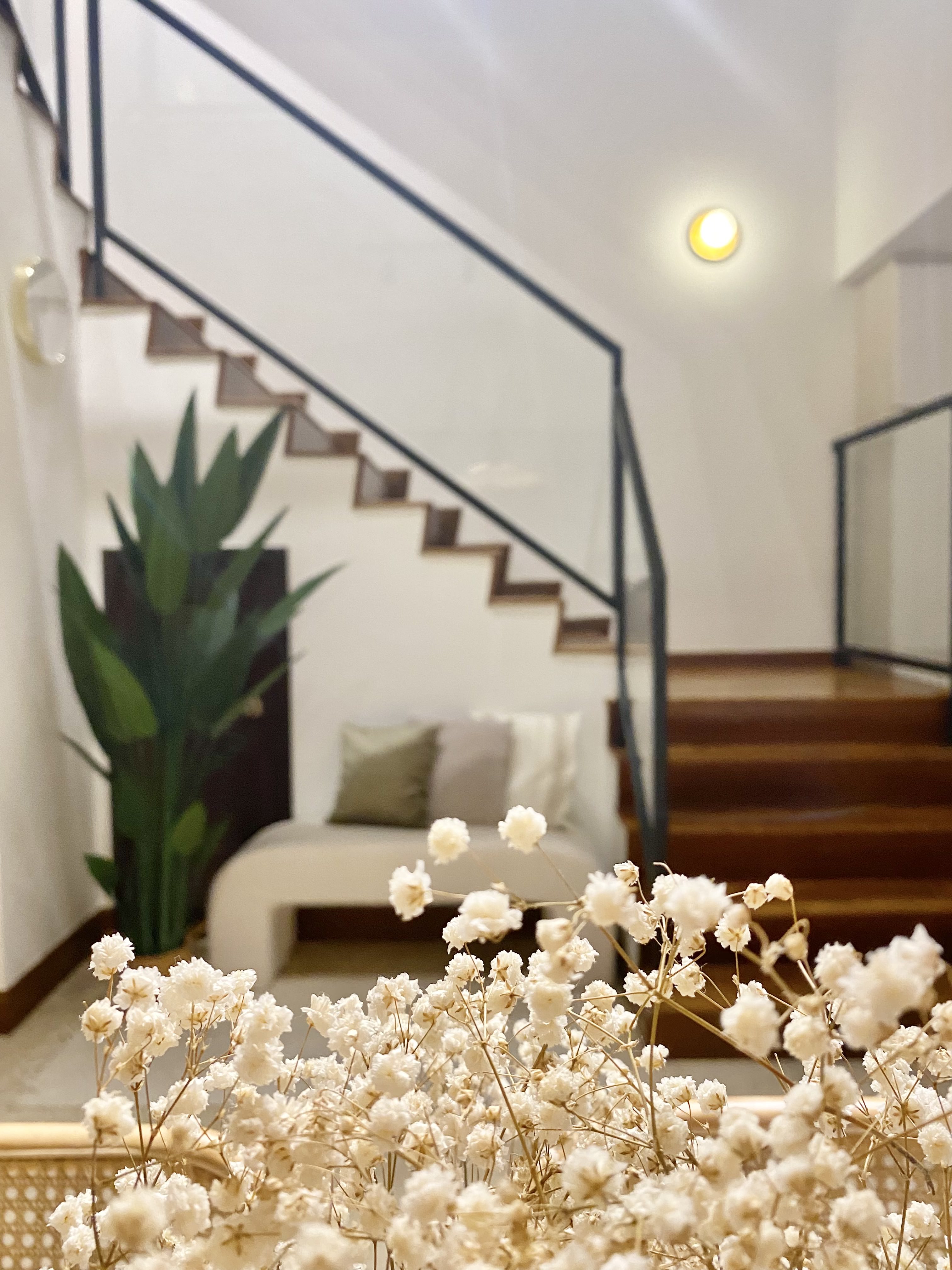 A Black & White Scandi, Peranakan and Colonial-inspired Inter-terrace - White flowering plants, indoor setting, modern