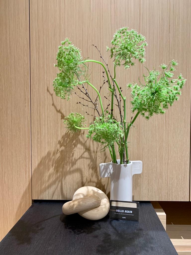 Japanese Inspired Interior | Minimal plants with impact