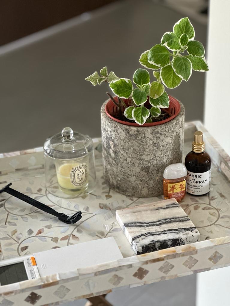 Living in simplicity where less is more - moss plant, ceramic pot, green leaves, white frost, natural light, indoor setting