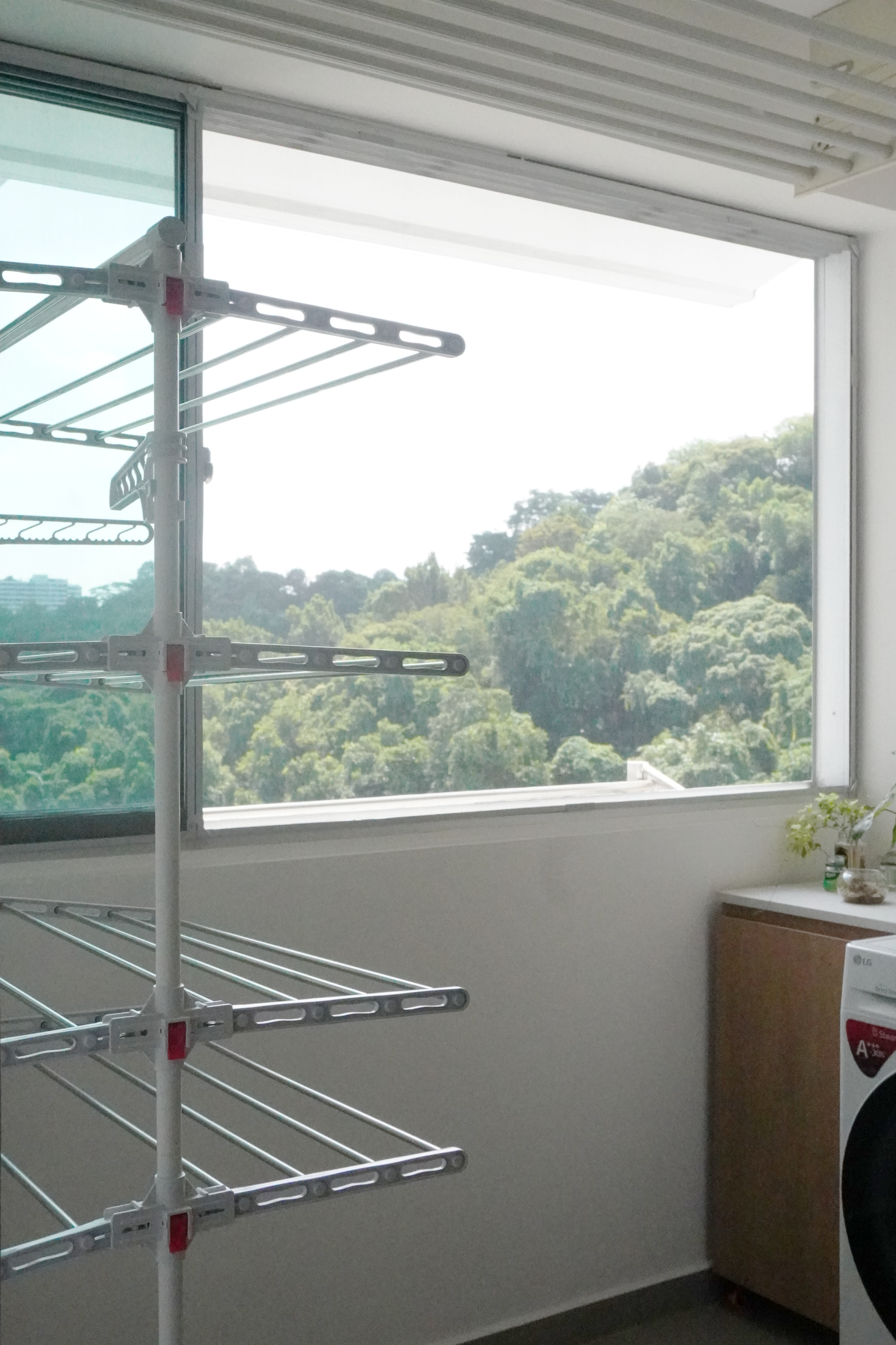 Just focus on the view: Our simple service yard - wire rack, window, greenery, outdoor view, bright day, natural light, tall