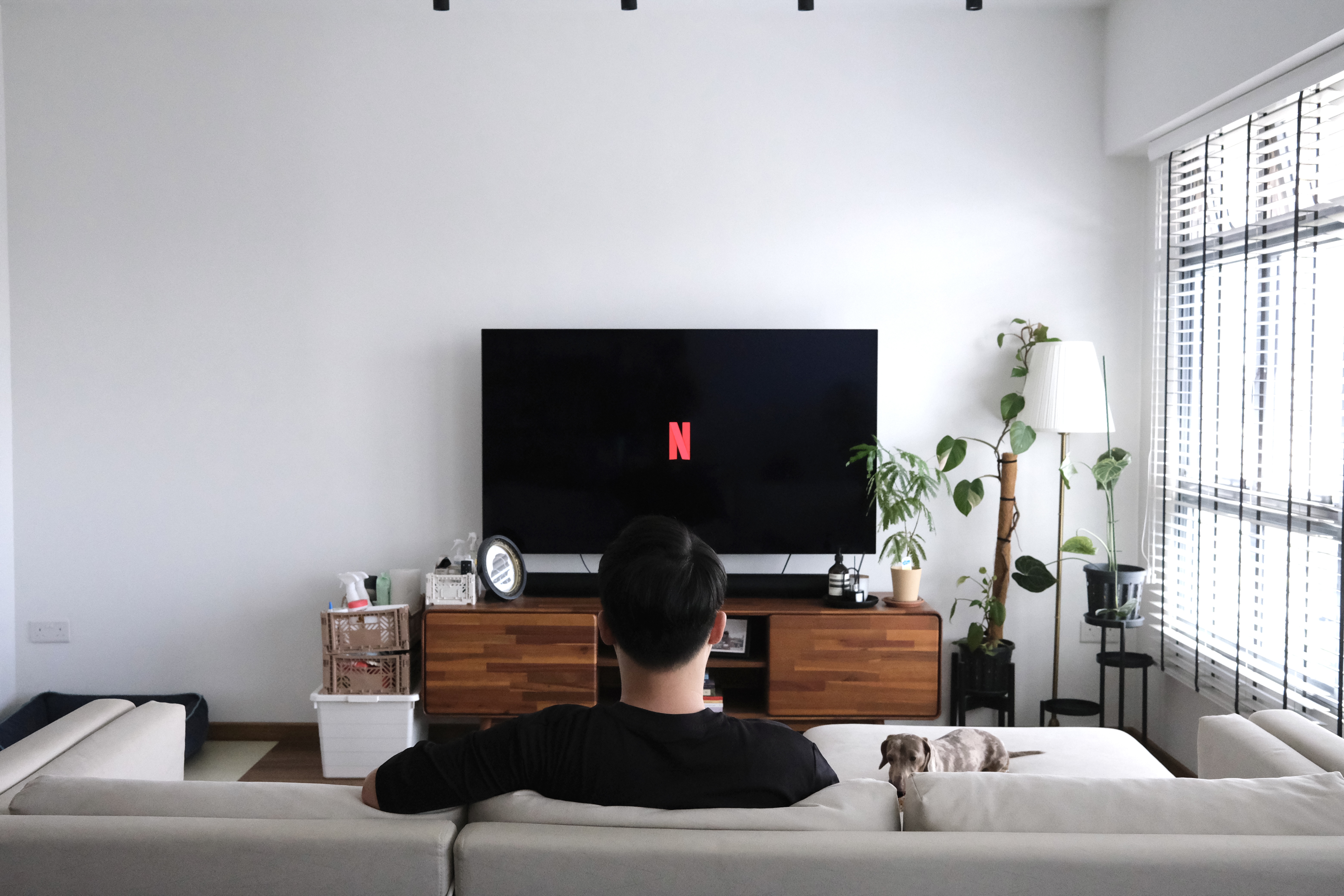 Our-Living-Room-|-Where-we-Netflix-&-Chill