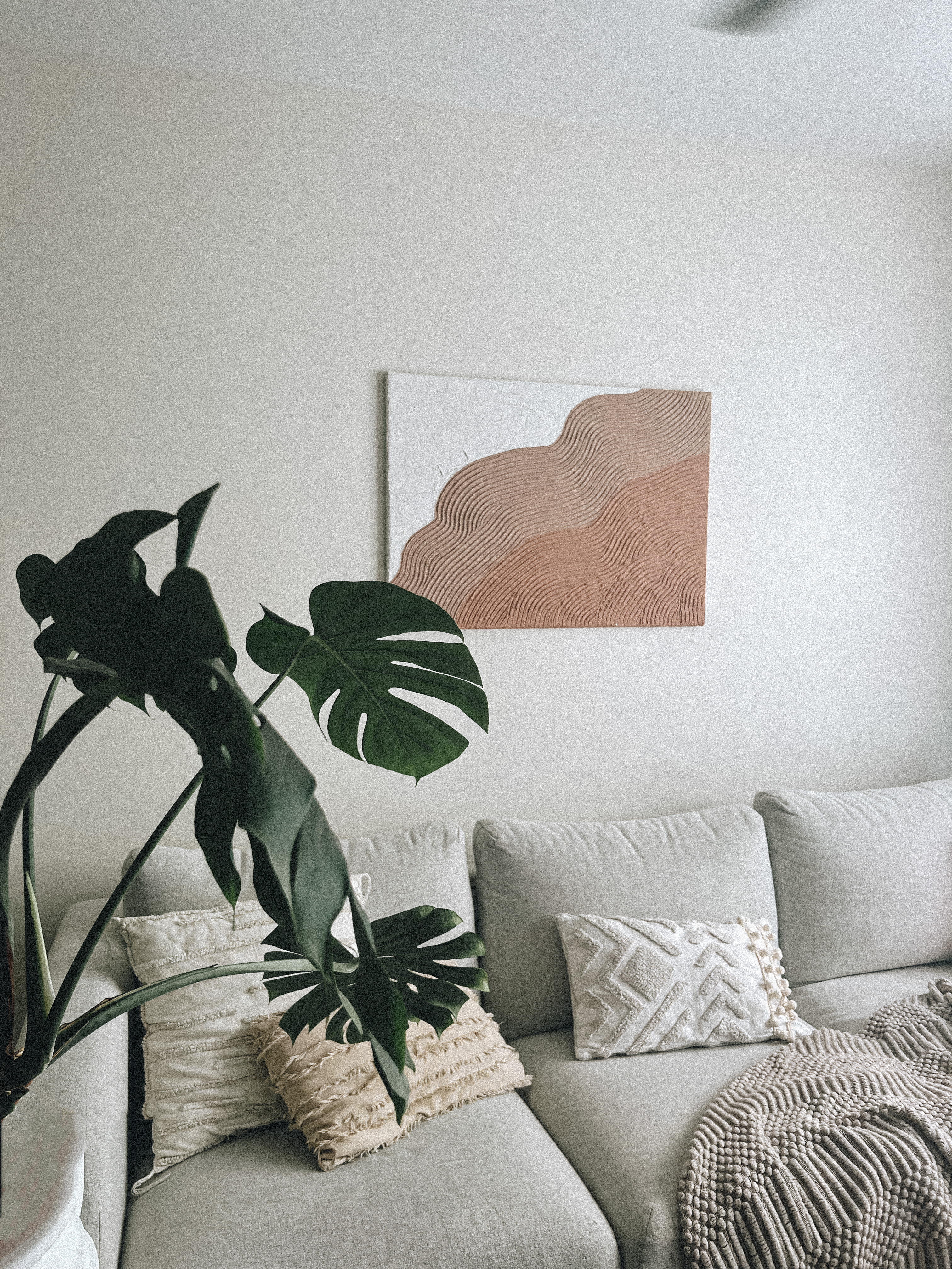 Home-is-where-my-plants-are