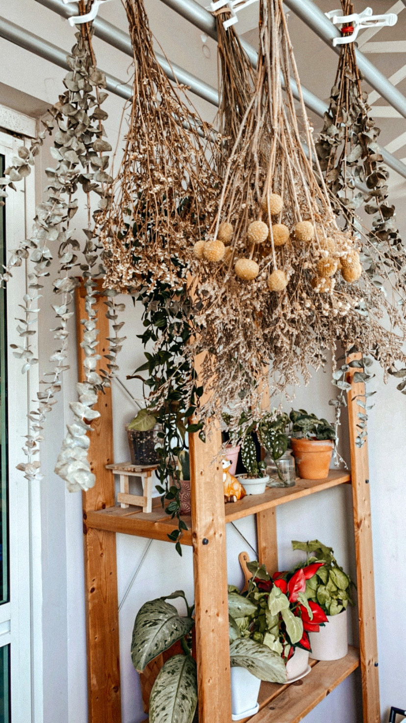 Home is where my plants are - vine garlands, dried flowers, hanging planters, wooden shelf, green plants, terracotta pots