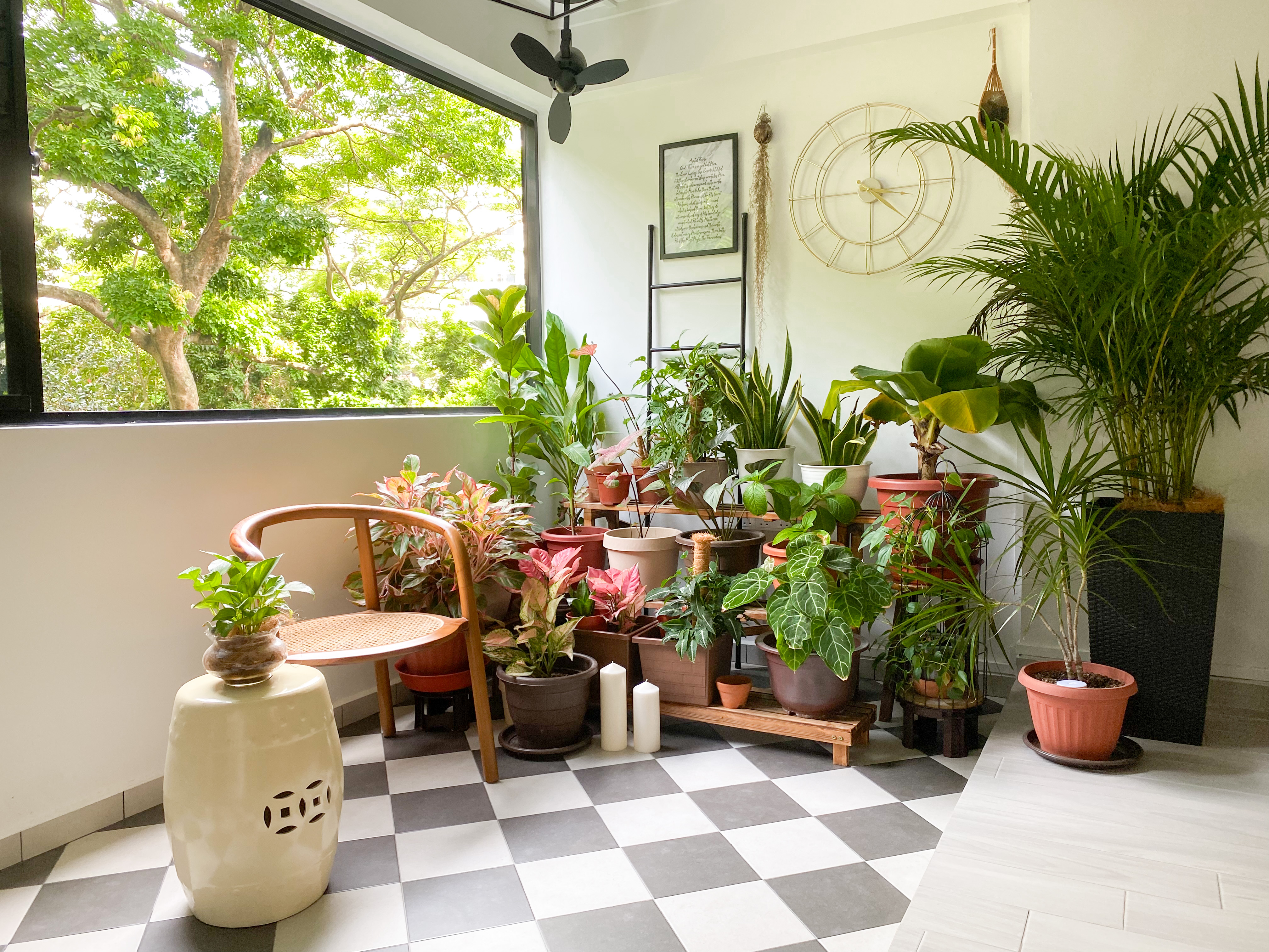 A housewife hobby corner - Large potted plant, small potted plant, tall potted plant, green potted plant, tall green plant