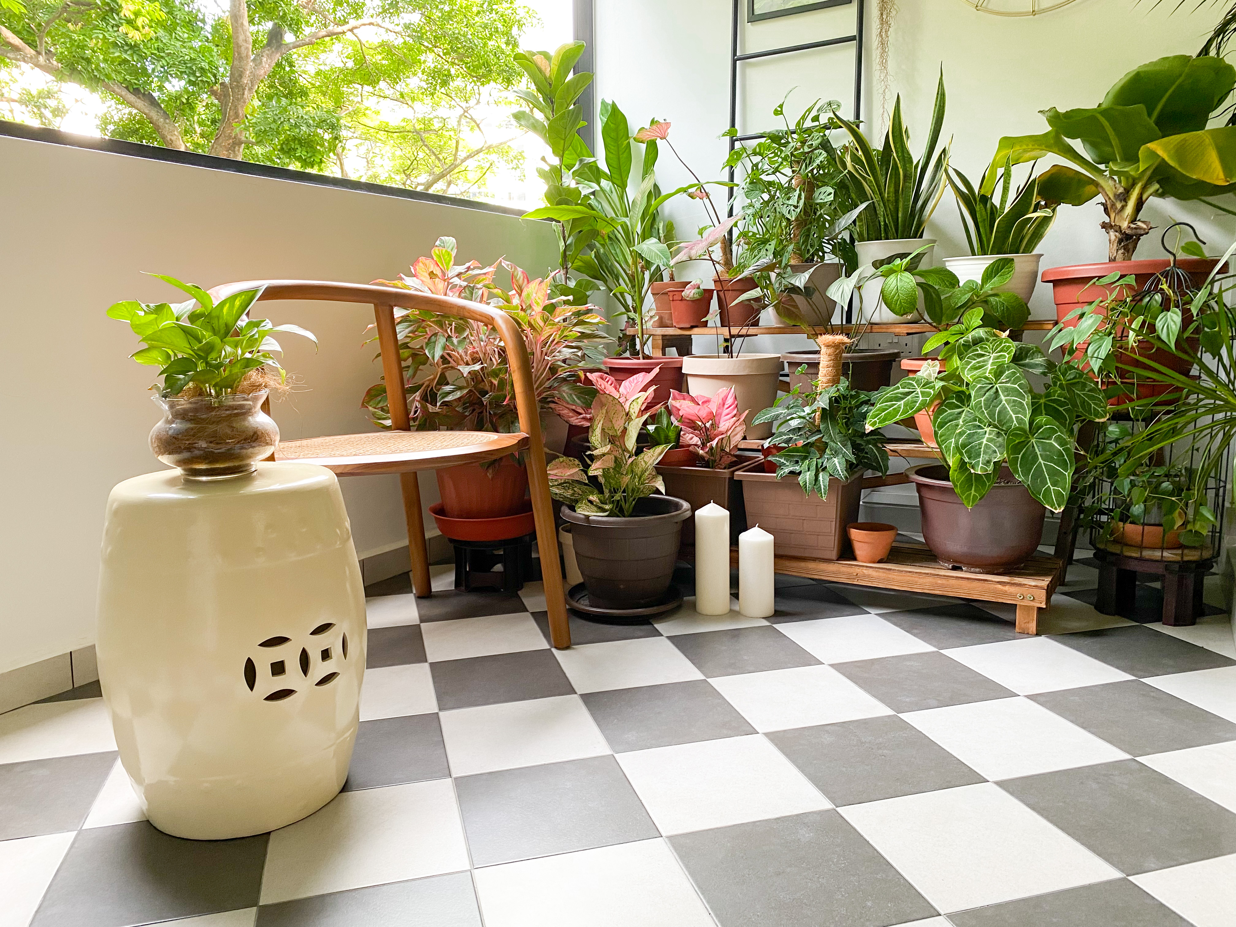 A housewife hobby corner - various potted plants, indoor garden, indoor plants, indoor plants arrangement, indoor plants on