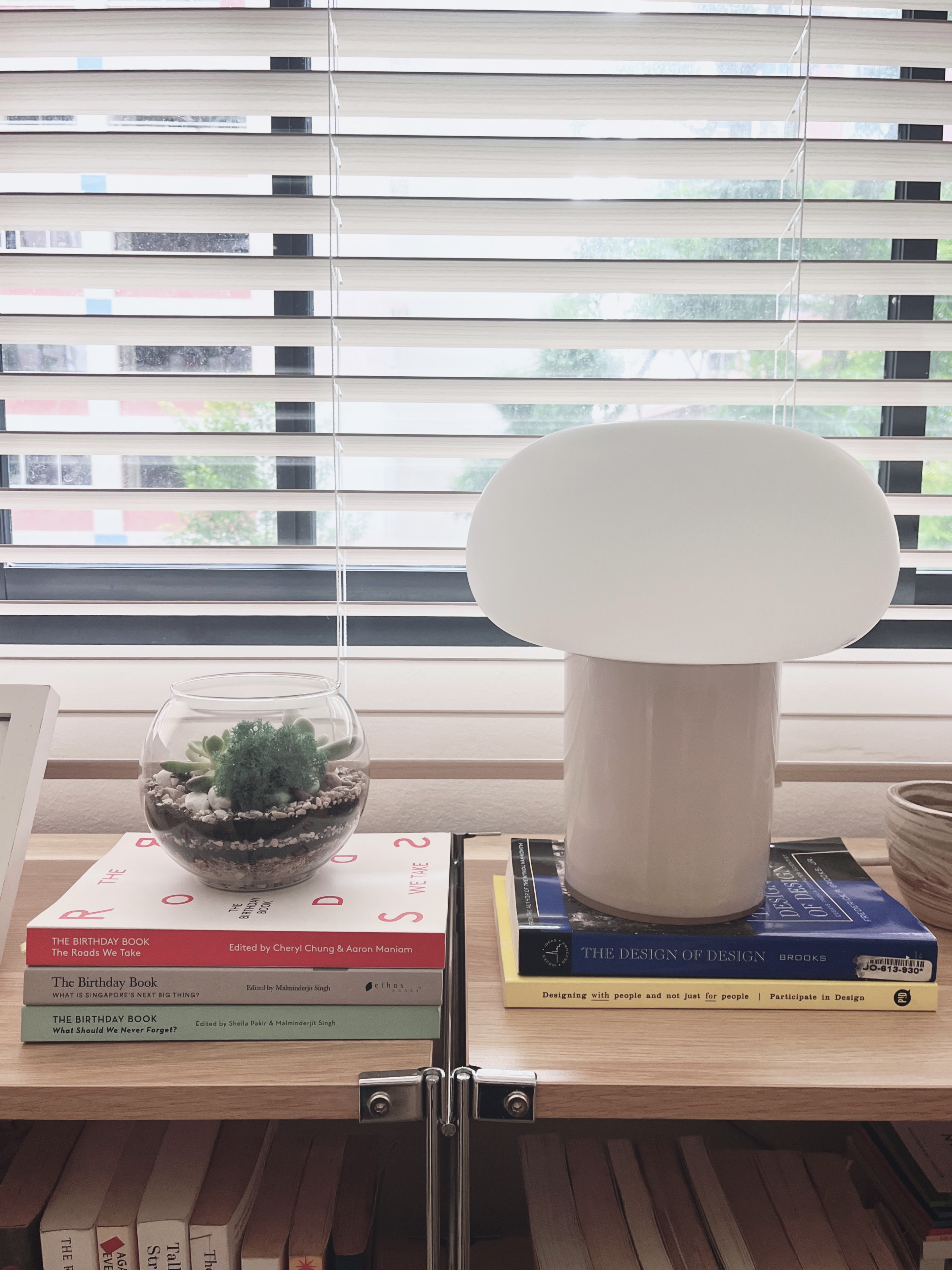 New beginnings: young plants in new home - Modern minimalist bookshelf, white spherical lamp, indoor plants, natural light,