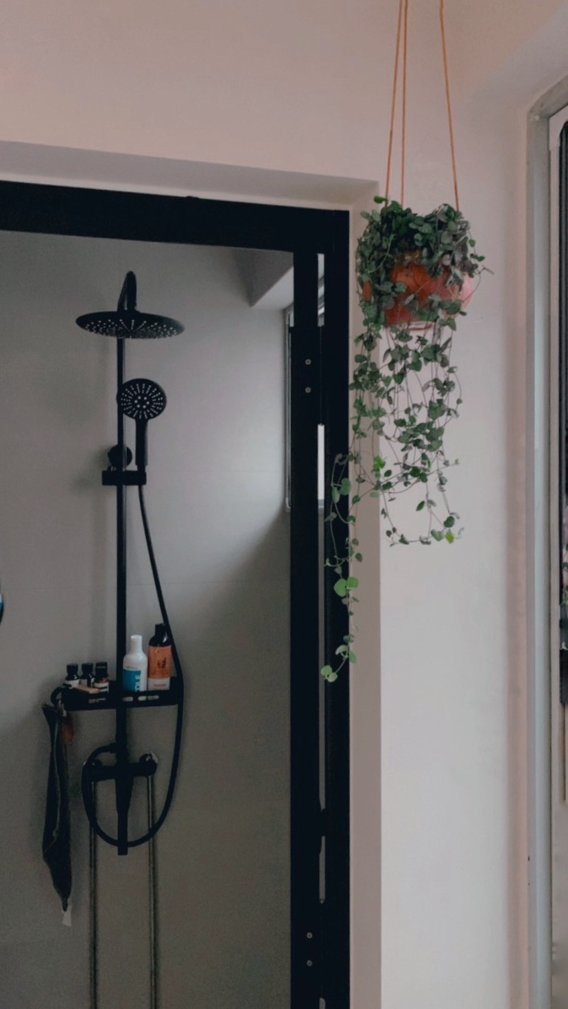 Little touches to add greenery through our home - Shower area with black fixtures, hanging plant in orange pot, black metal