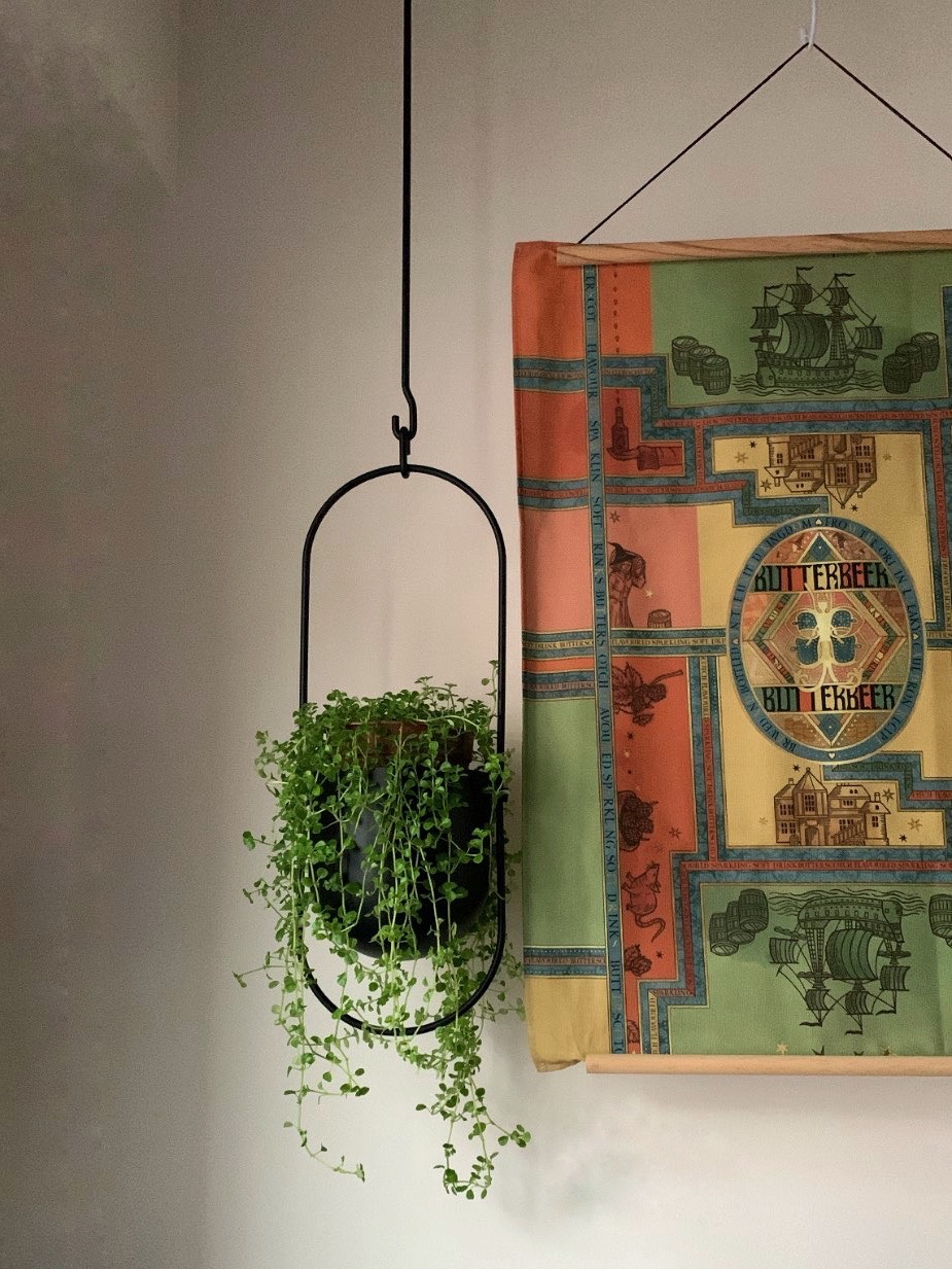 Little-touches-to-add-greenery-through-our-home