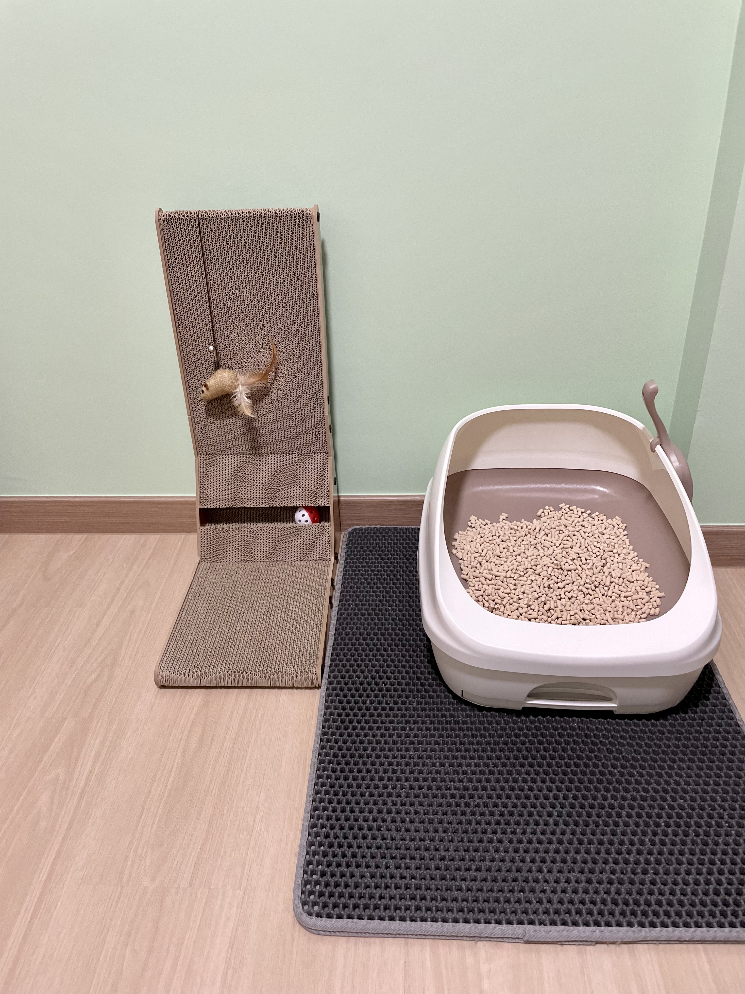 Multipurpose Room - Study + Cat Room - wire mesh, cat climbing structure, beige and brown, small cat, toy, scratching post