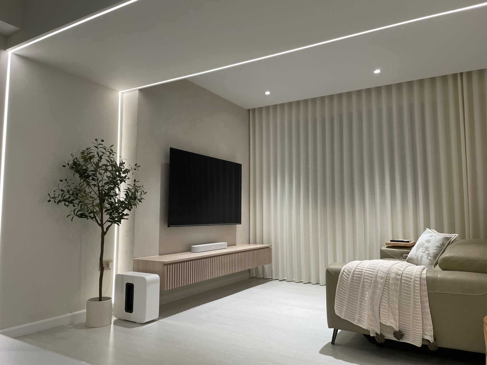 Fake-plants-in-our-home