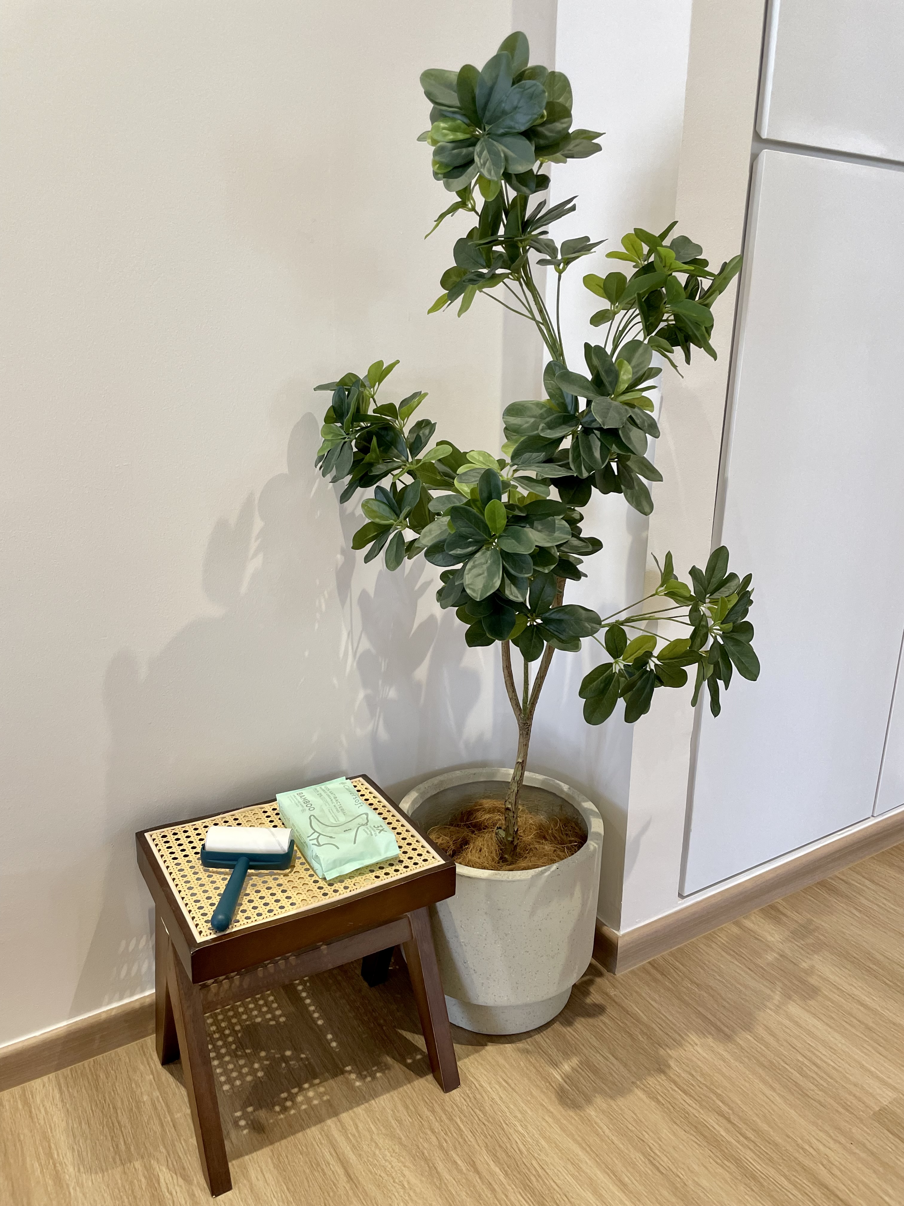 Simple Entryway with Shoe Shelves in DB Box