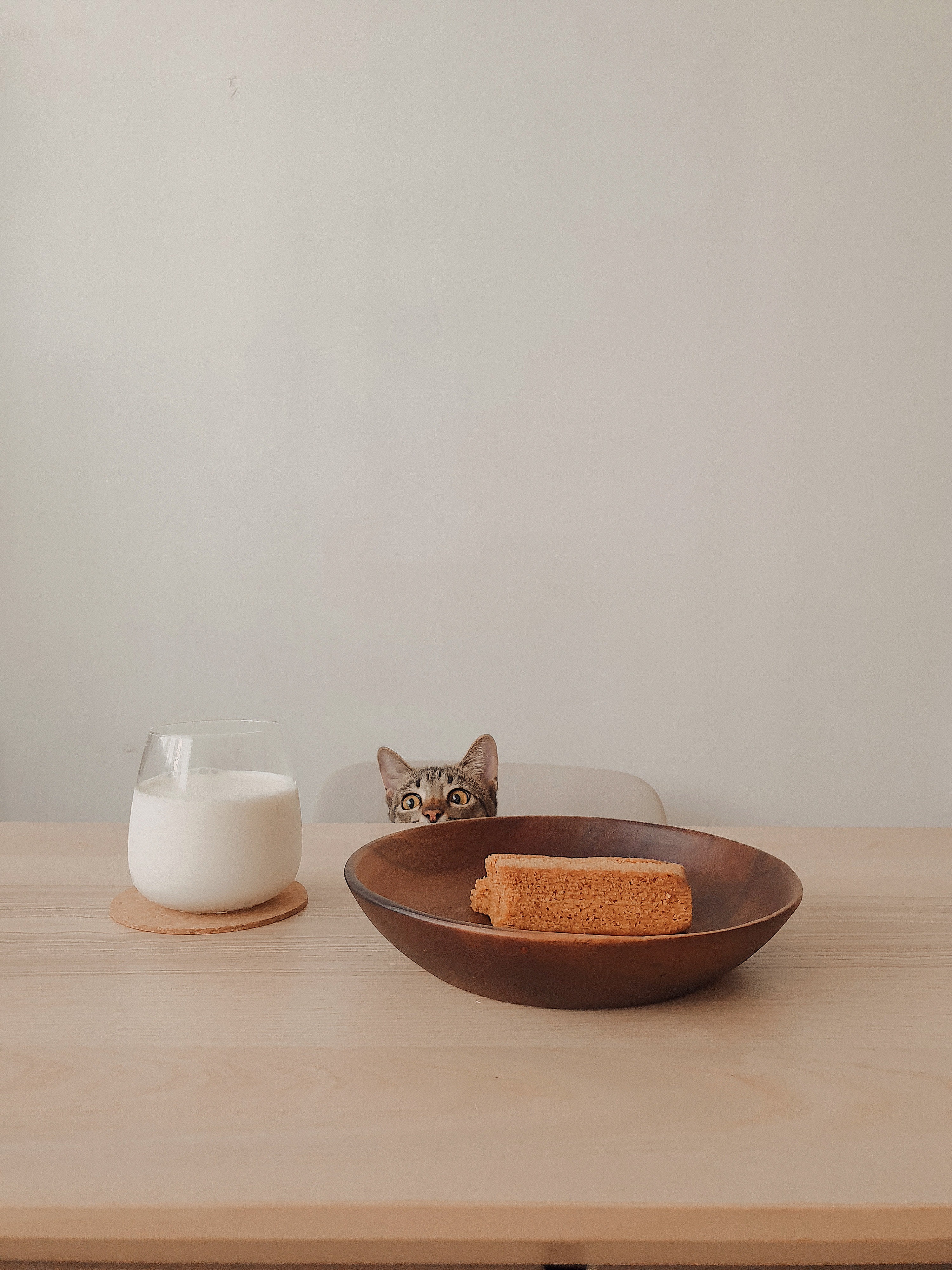 Golden Hour Snack time at Home - Glass of milk, cat peeking, wooden table, brown bowl, cat's face, curious expression, small