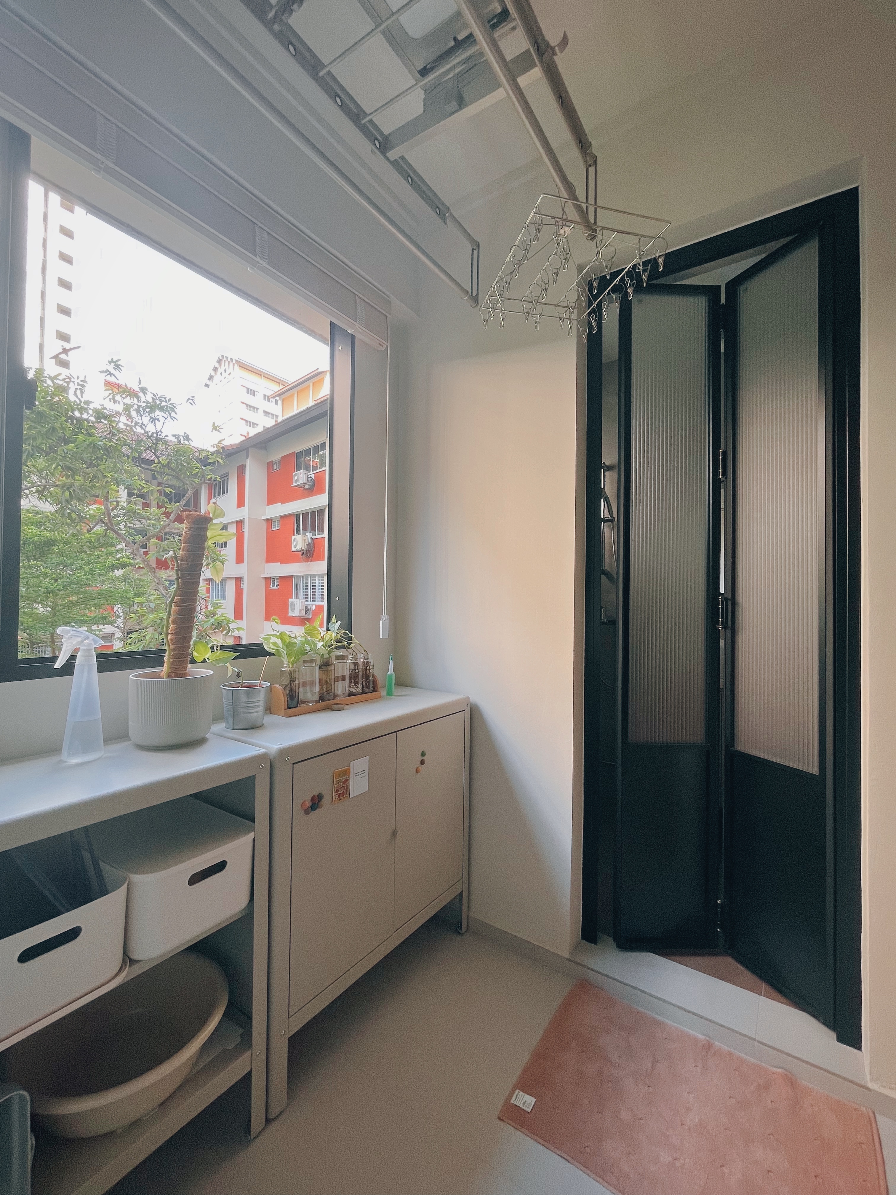 Optimising vertical space in this simple service yard - window sill, indoor plants, greenery, potted plants, small trees