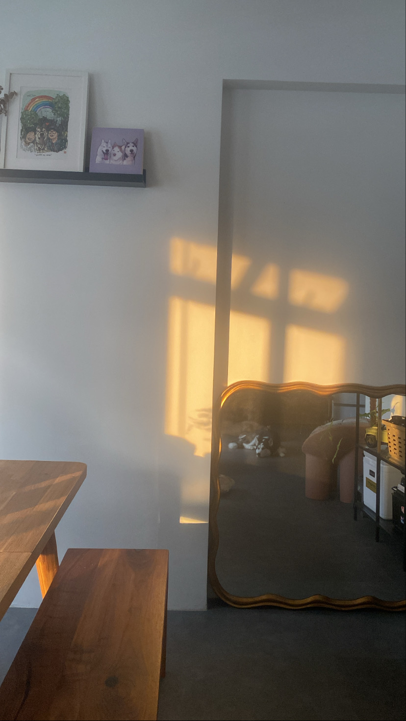 Growing with your Space - living room version - Sunlight streaming through window casts warm shadows, wooden table and bench