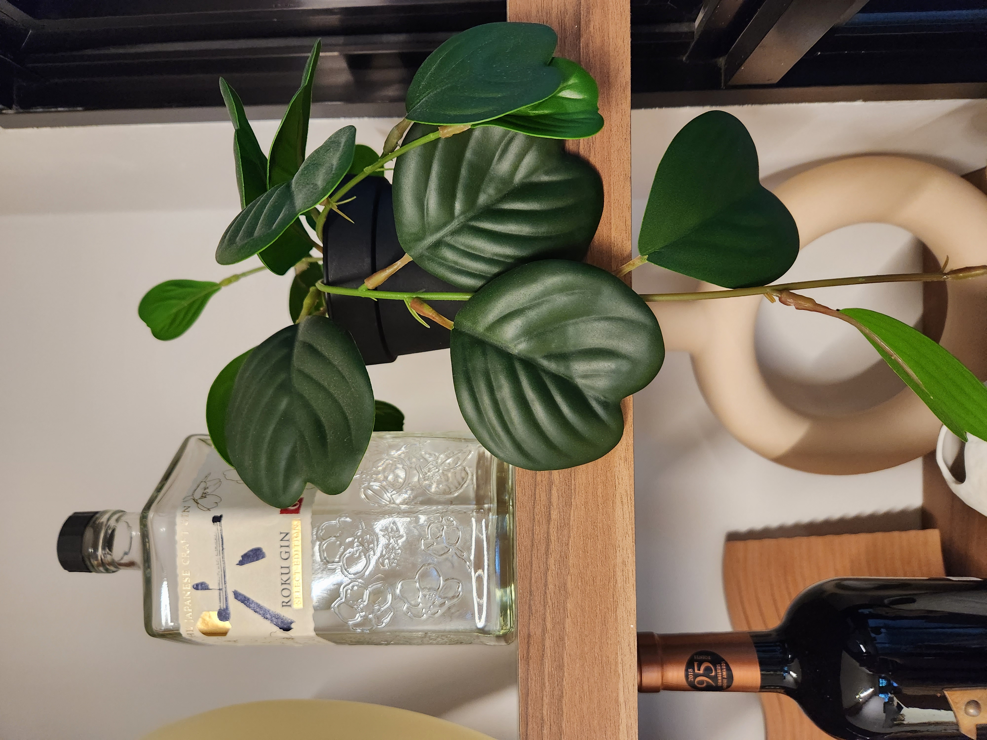 Slowly but surely | Our Faux Green Corners - green leafy plant, indoor plant, orchid, succulent, healthy plant, indoor