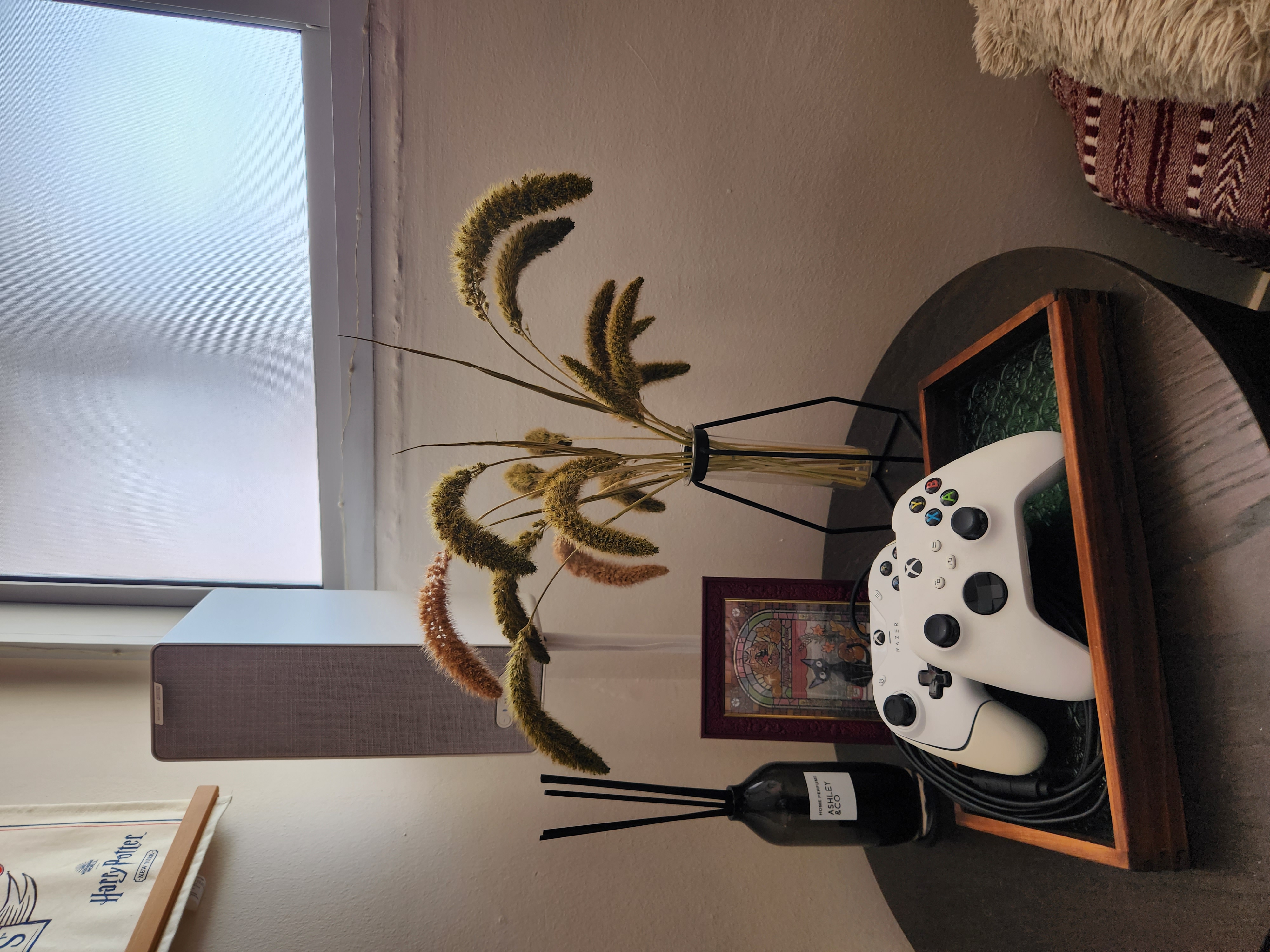 A cosy living space filled with small pops of colour - vibrant plant arrangement, cozy room decor, textured wall, modern