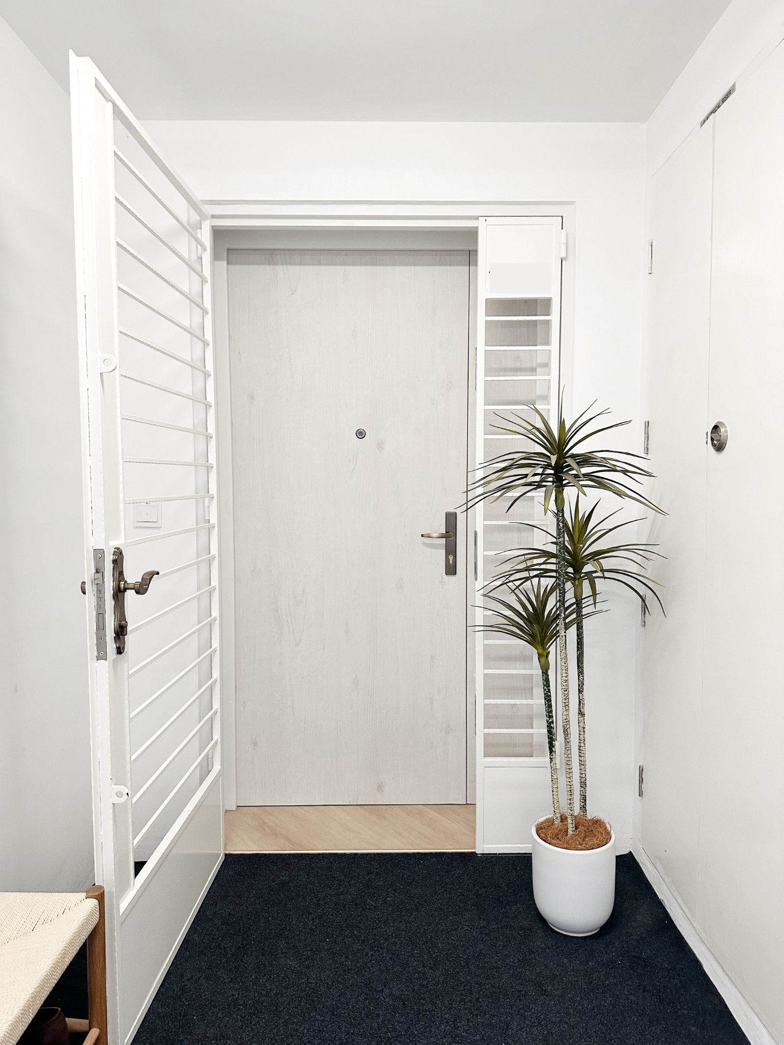 We Spent Below $1K To Transform Our BTO Flat Entrance! - White door with metal handle, wooden floor, potted plant with long