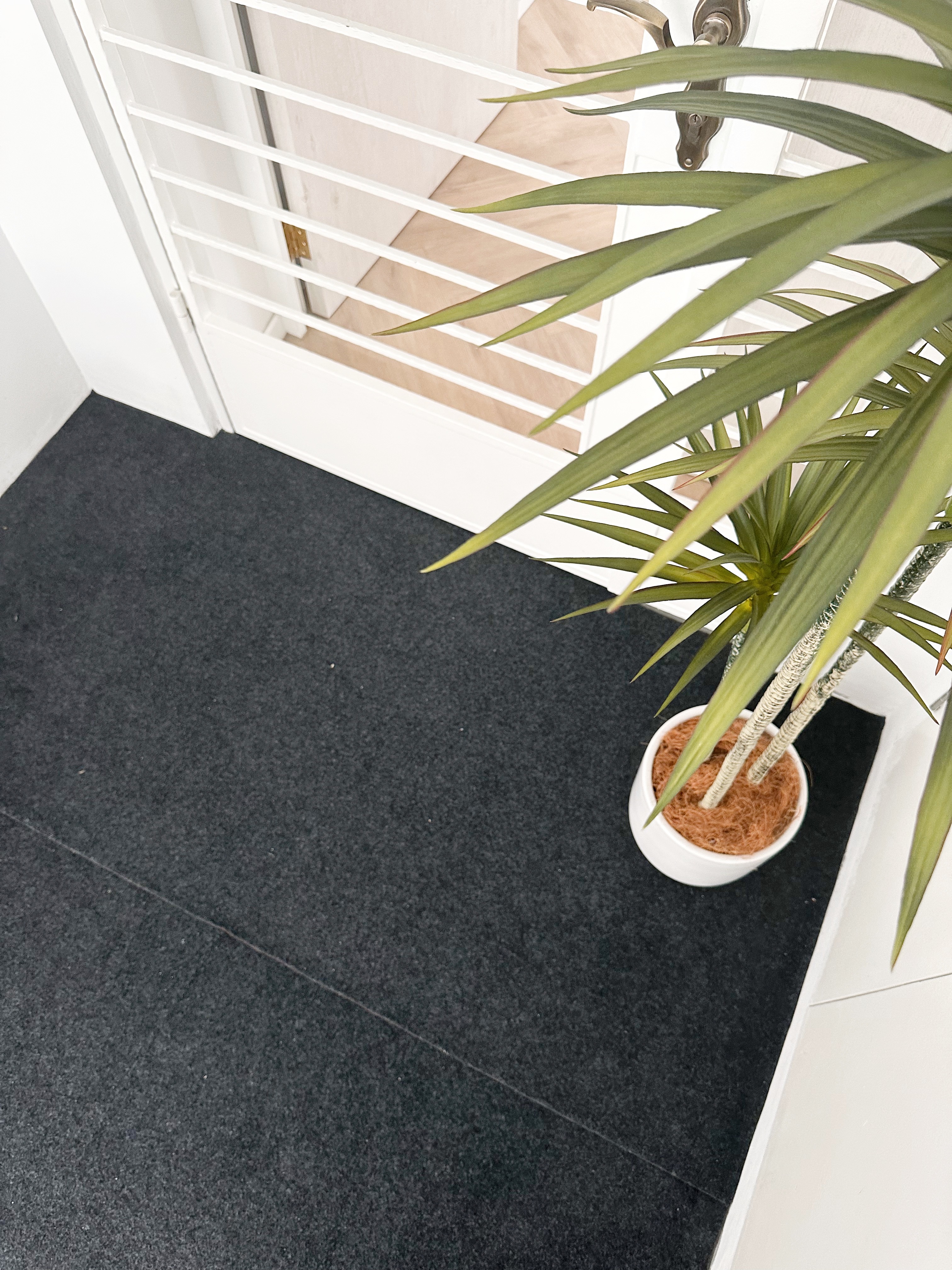 We Spent Below $1K To Transform Our BTO Flat Entrance!