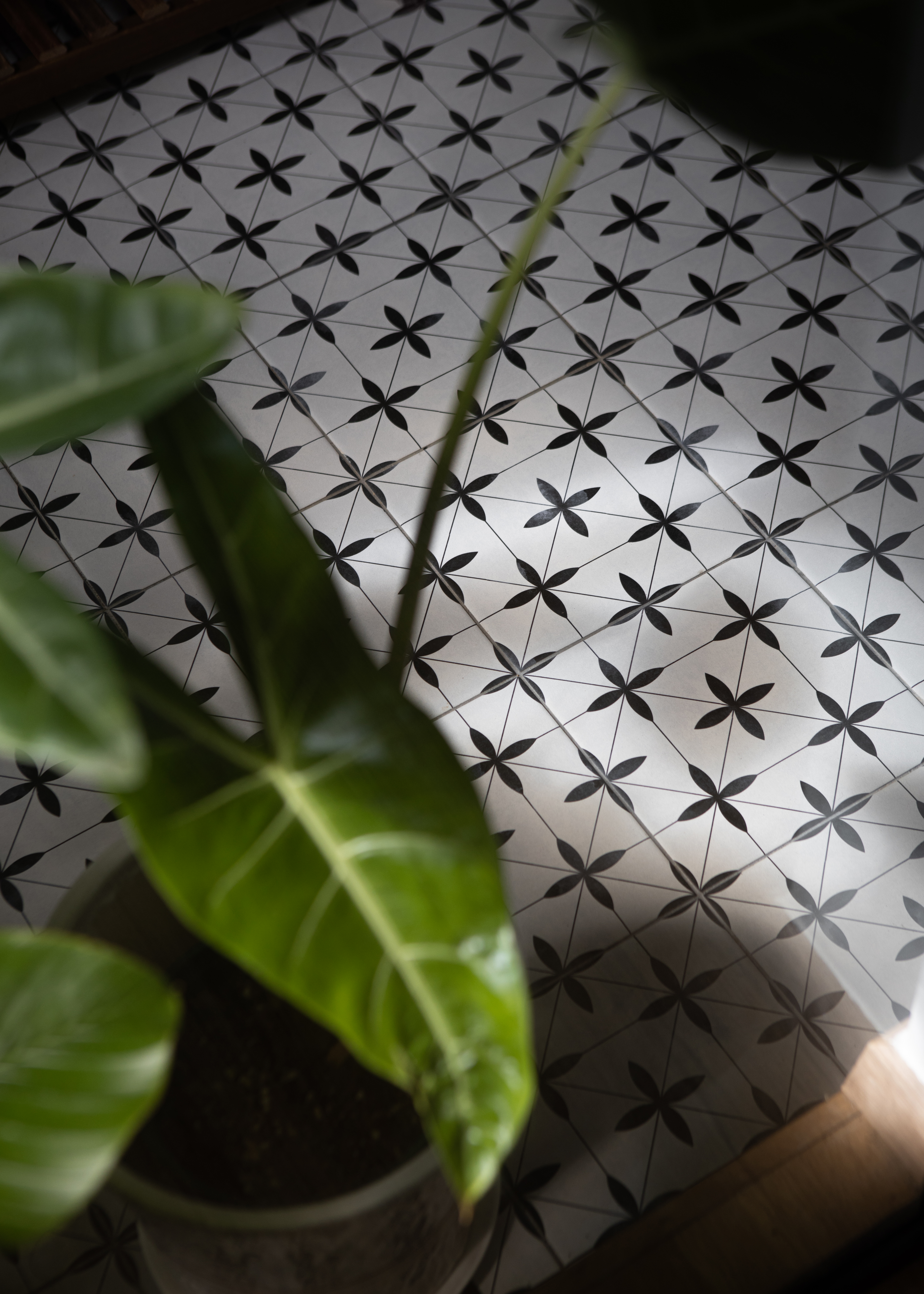 Bringing the outdoors in: Transforming our balcony into a green space  - Patterned tile floor, green plant leaves, geometric