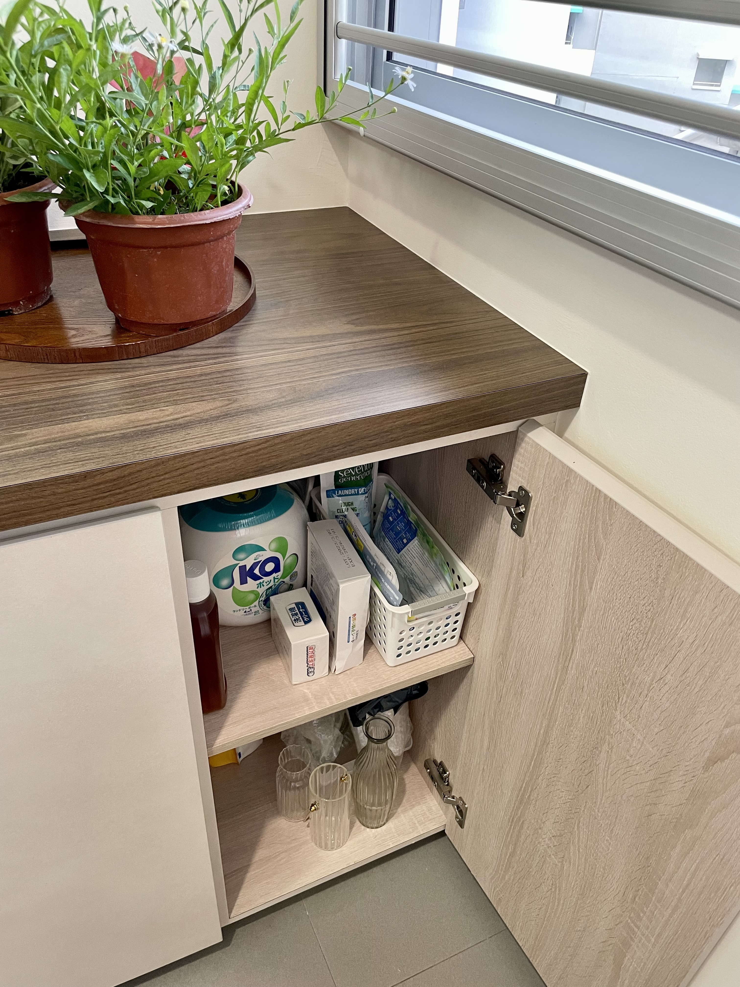 Maximizing your Service Yard - Interesting Sink + Cabinet - vibrant green plants, terracotta pots, natural light, indoor