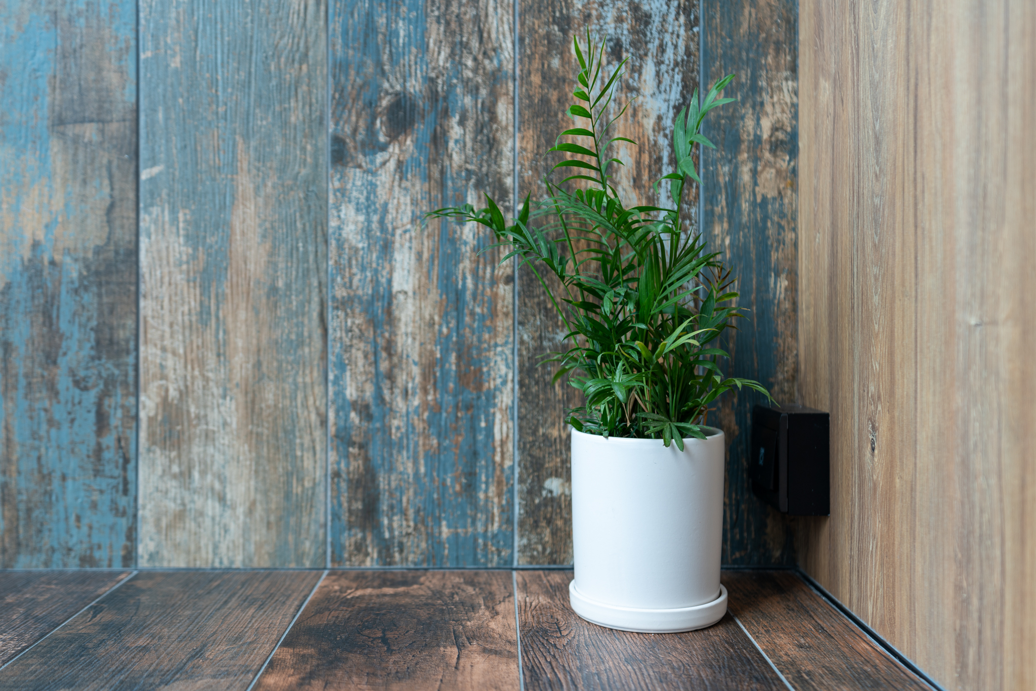 Adding Greenery to Our Apartment - Old wooden wall, rustic texture, blue and brown planks, weathered appearance, wooden