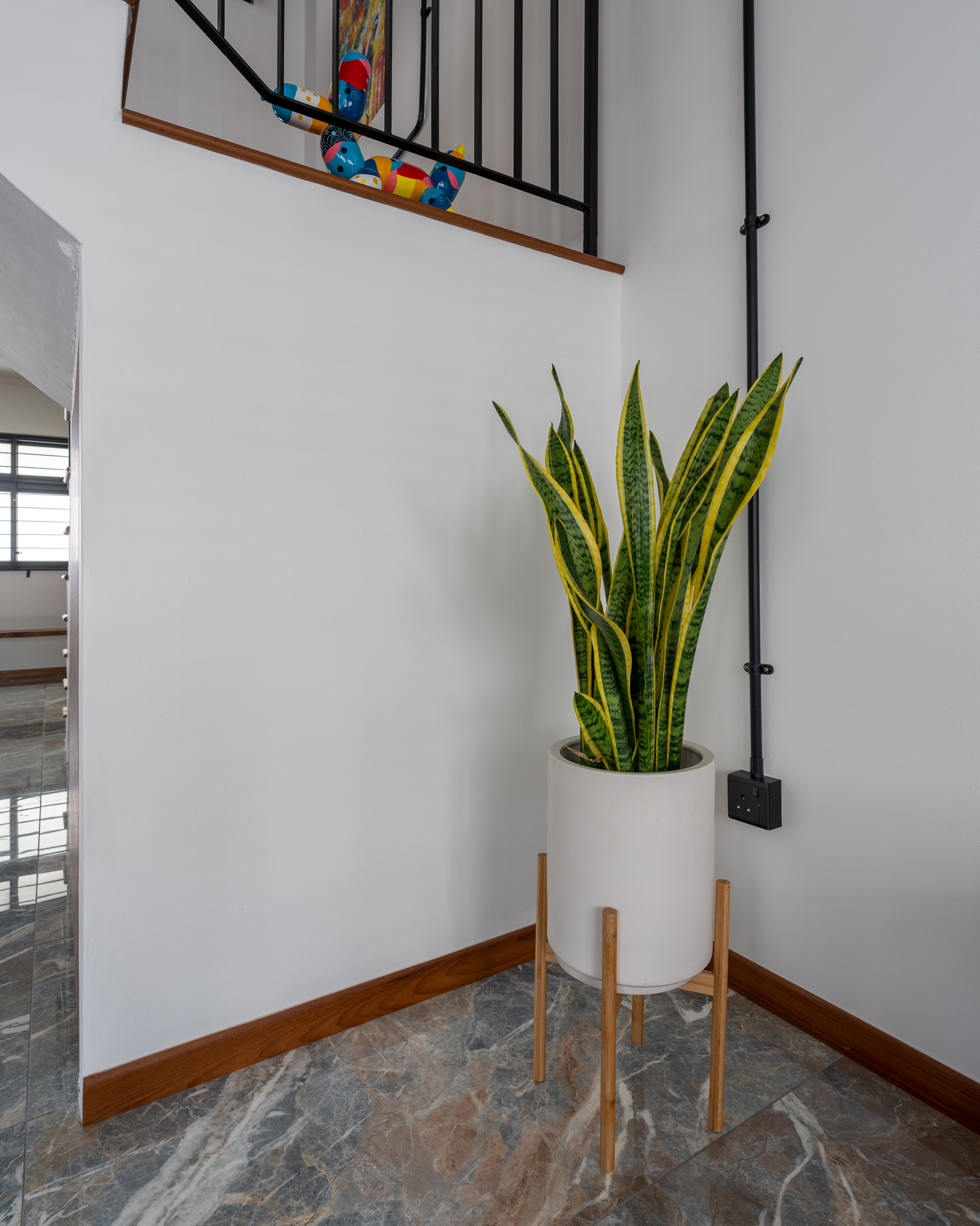 Adding Greenery to Our Apartment