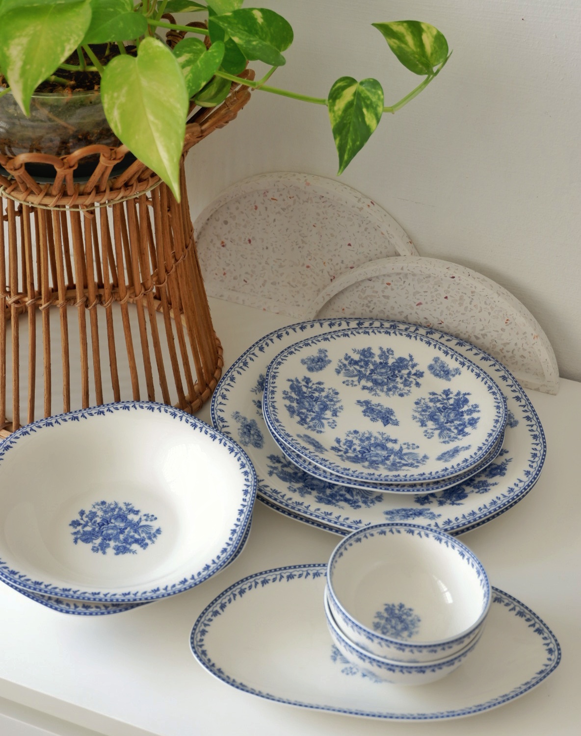 Our Home collections - vibrant green leaves, potted plant, woven basket, natural light, indoor setting, ceramic plates, blue