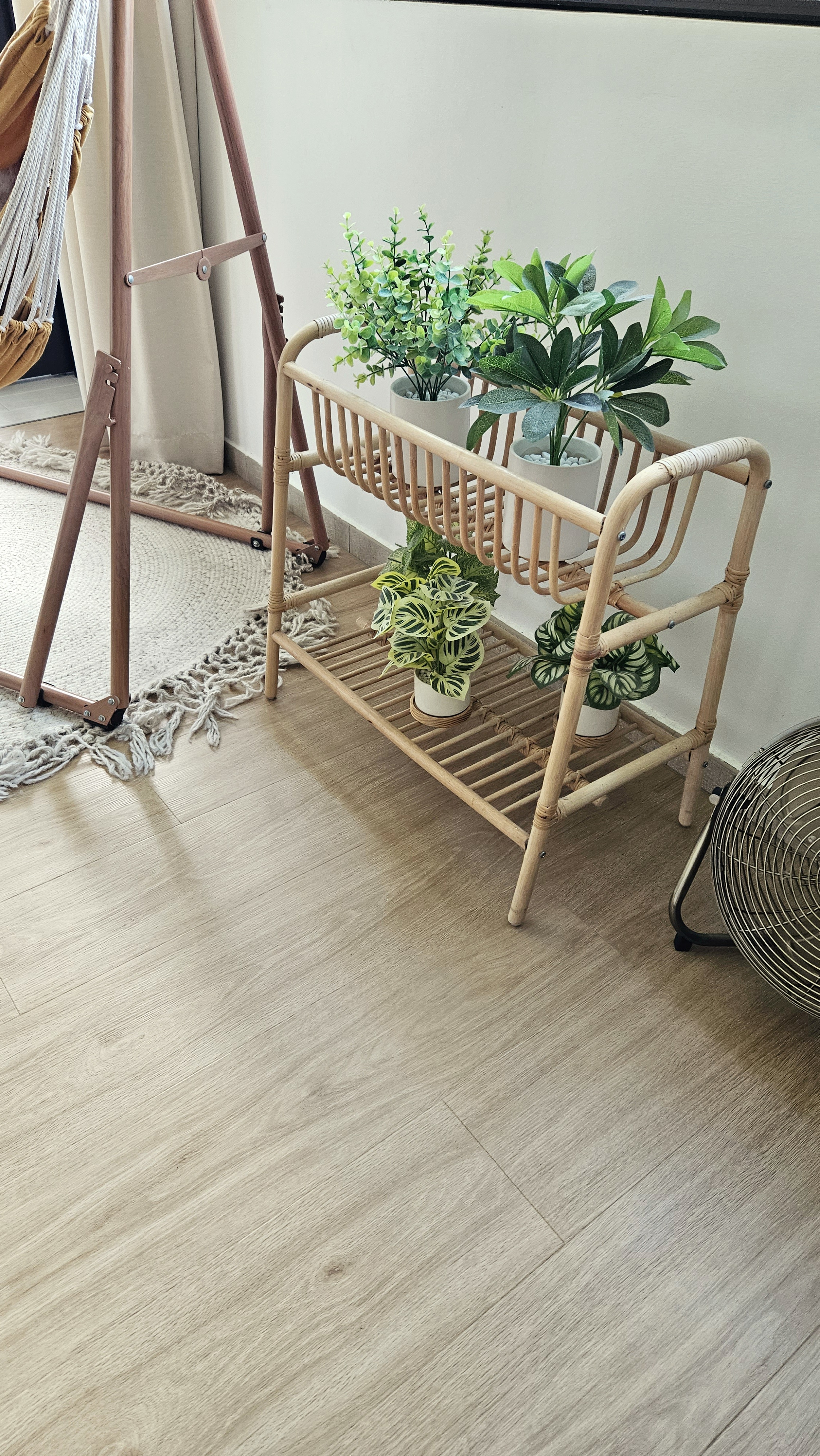 Greens can spruce up your home INSTANTLY!