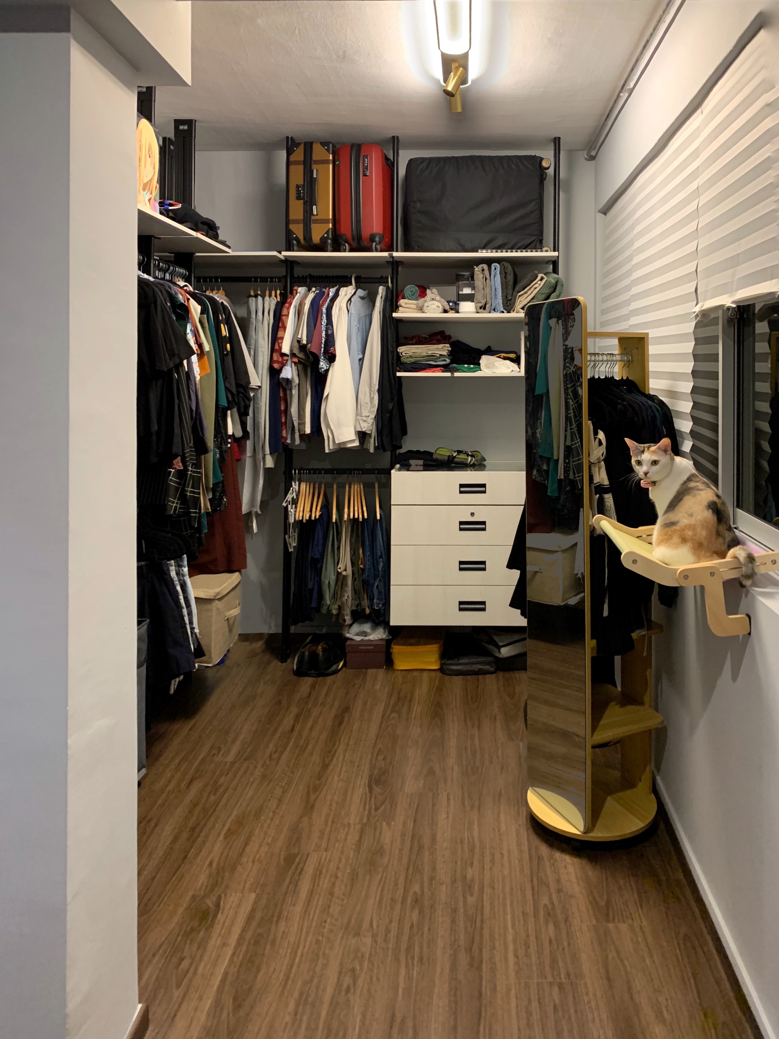 A minimal bedroom with a walk-in wardrobe nook - Organized closet with clothes, hanging clothes, shelves, drawers, wardrobe