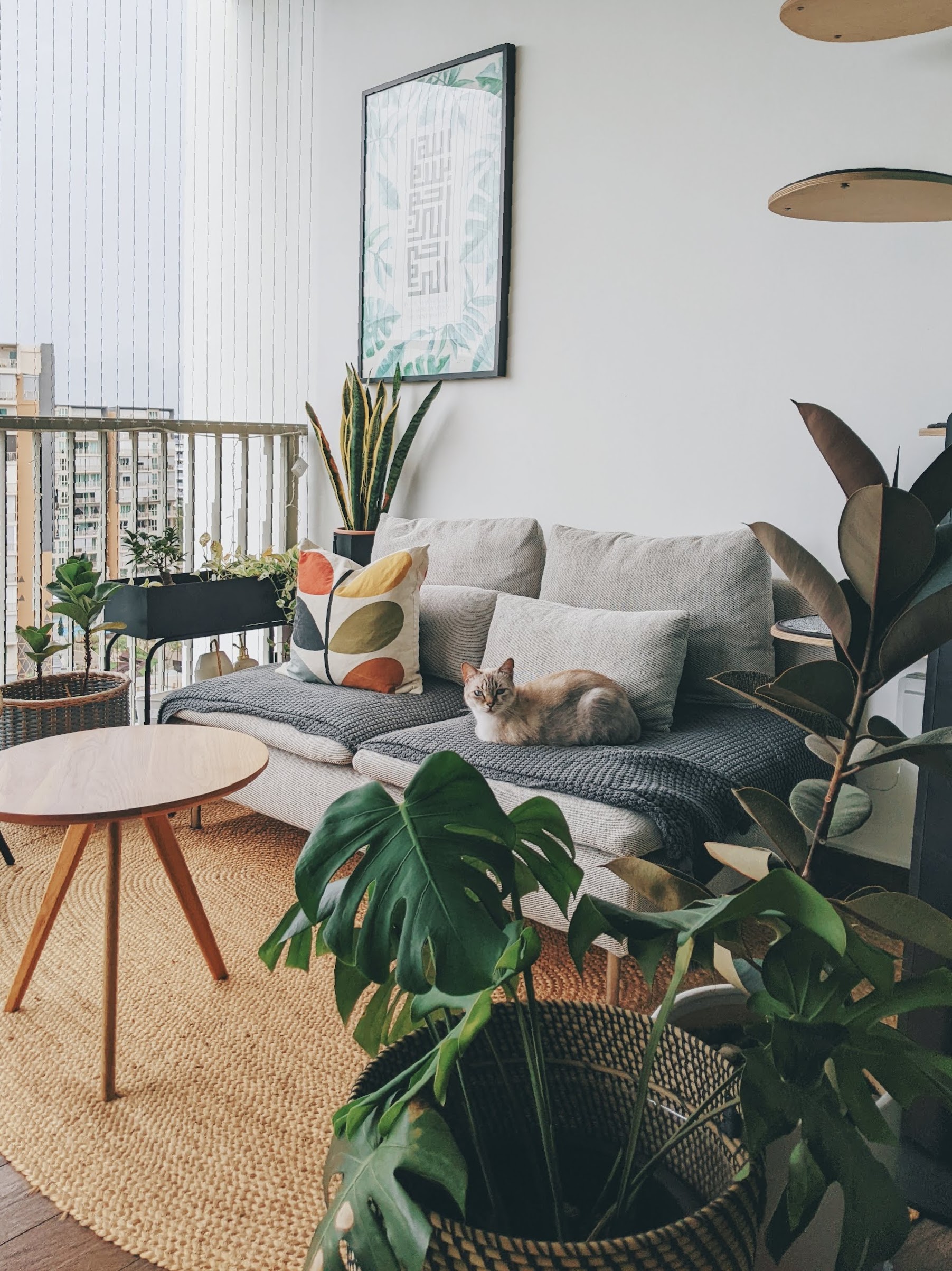 Walk about our quirky, catto-loving space. - Modern living room, cozy seating area, indoor garden, plant-filled space