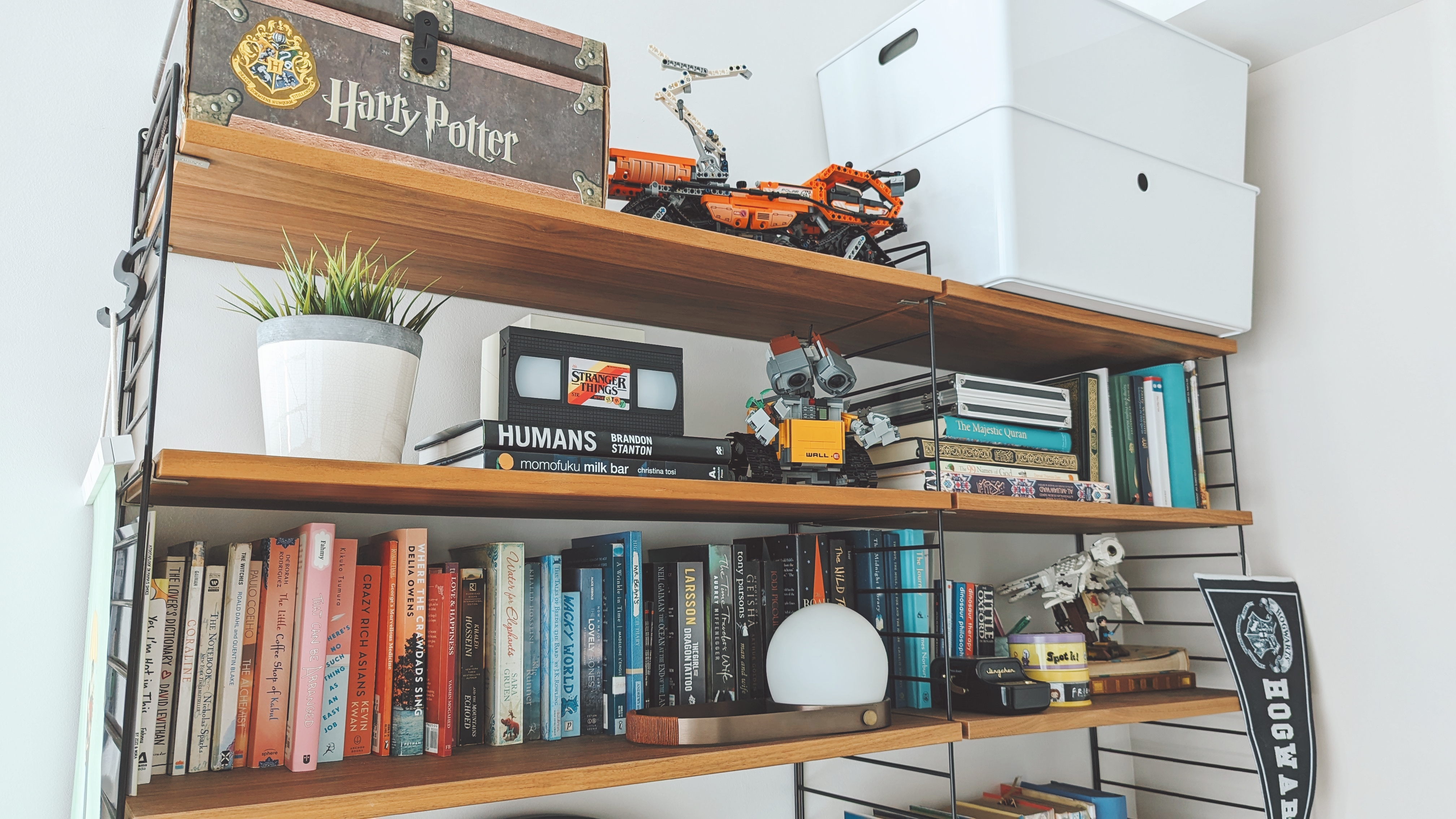Walk about our quirky, catto-loving space. - Wooden bookshelf, Harry Potter box, LEGO set, white storage bin, "Stranger