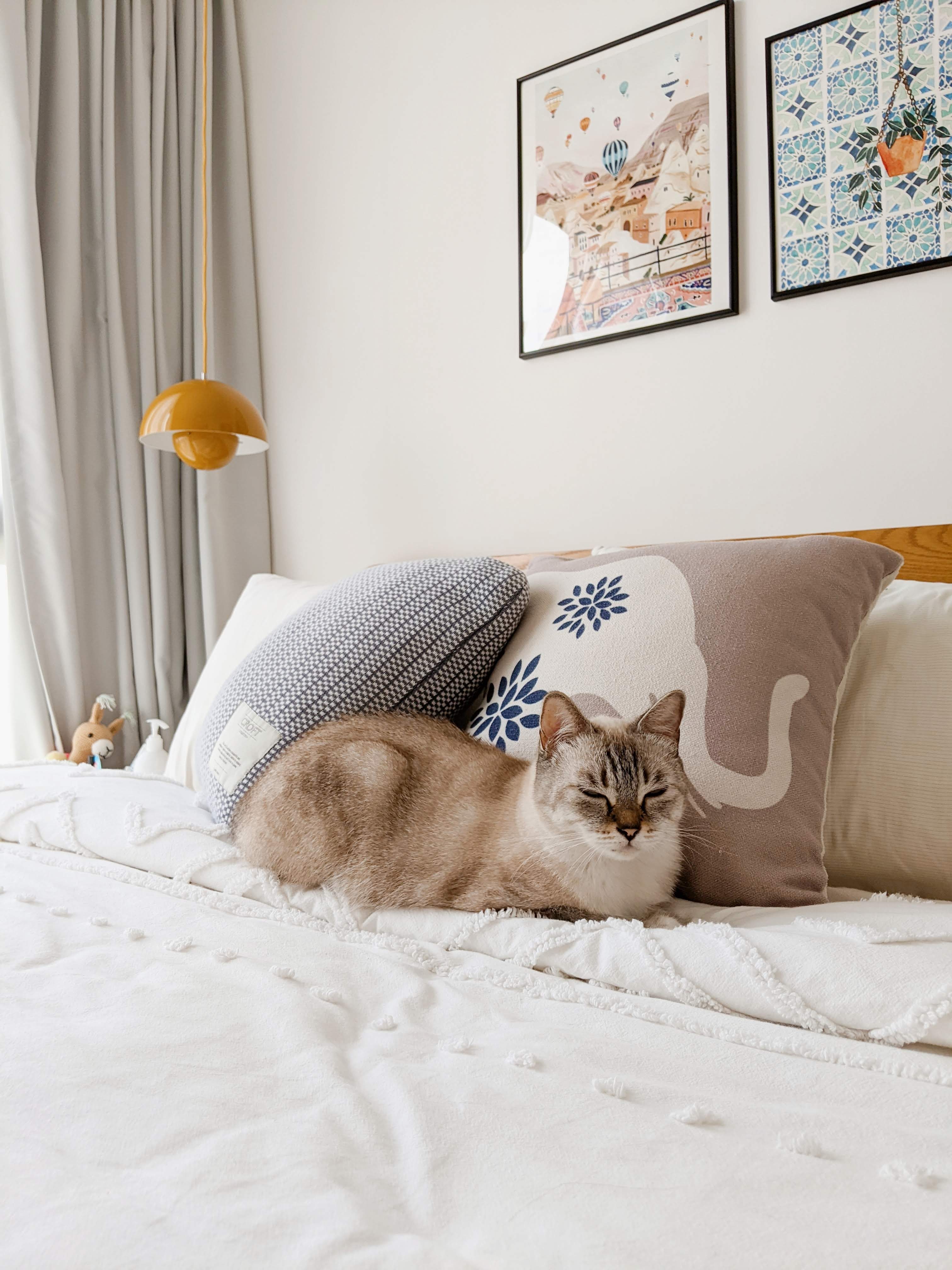 Walk about our quirky, catto-loving space. - Cream and white cat lounging on bed, pillows, soft bedding, light beige