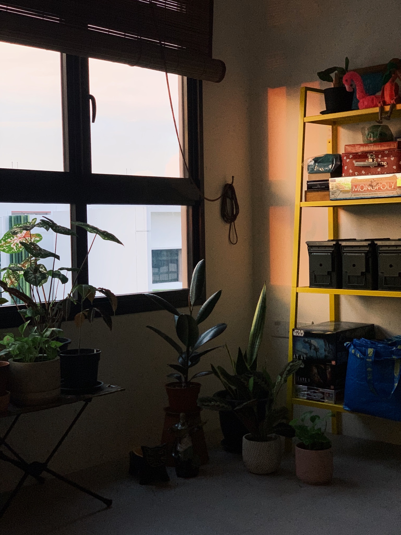 From Living Room to Entertainment Central: The Ultimate Transformation - Sunset outside, window with blinds, indoor plants