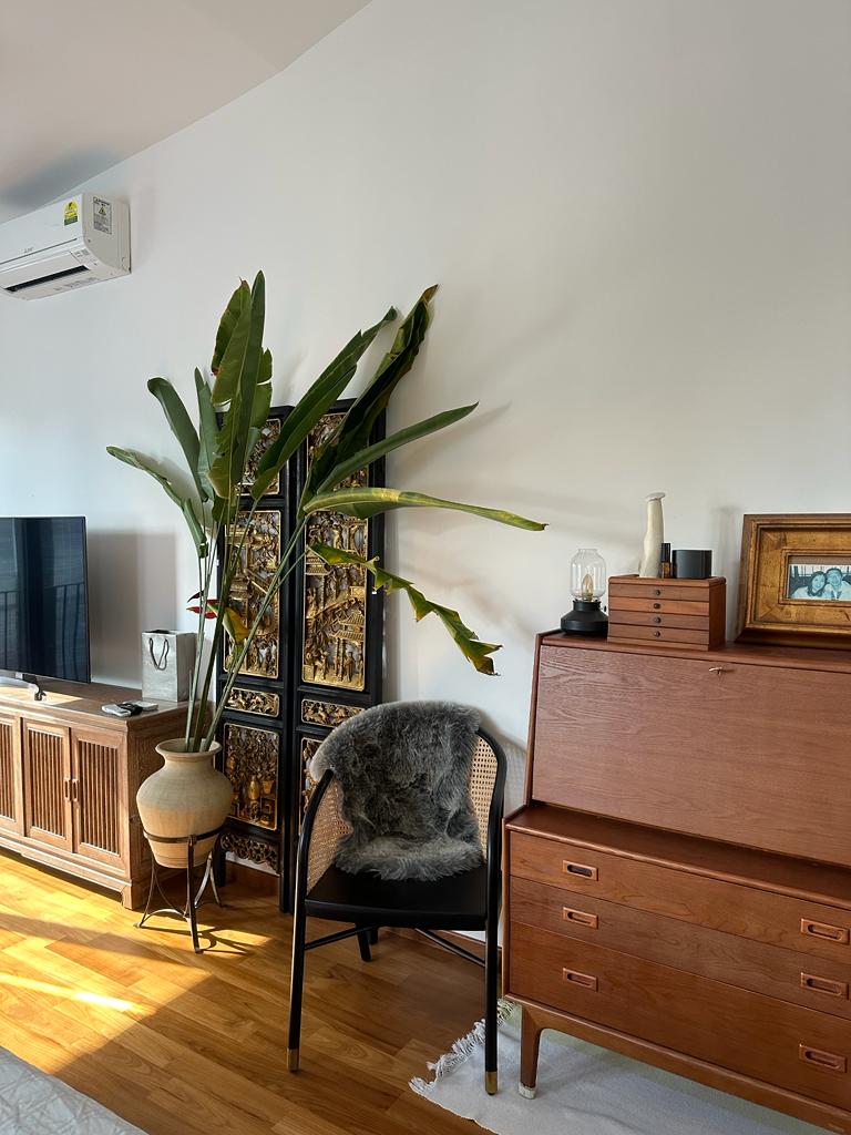 styling bedroom with existing furniture - Wooden TV cabinet, black ornate cabinet, tall green plant, gray furry chair, wooden