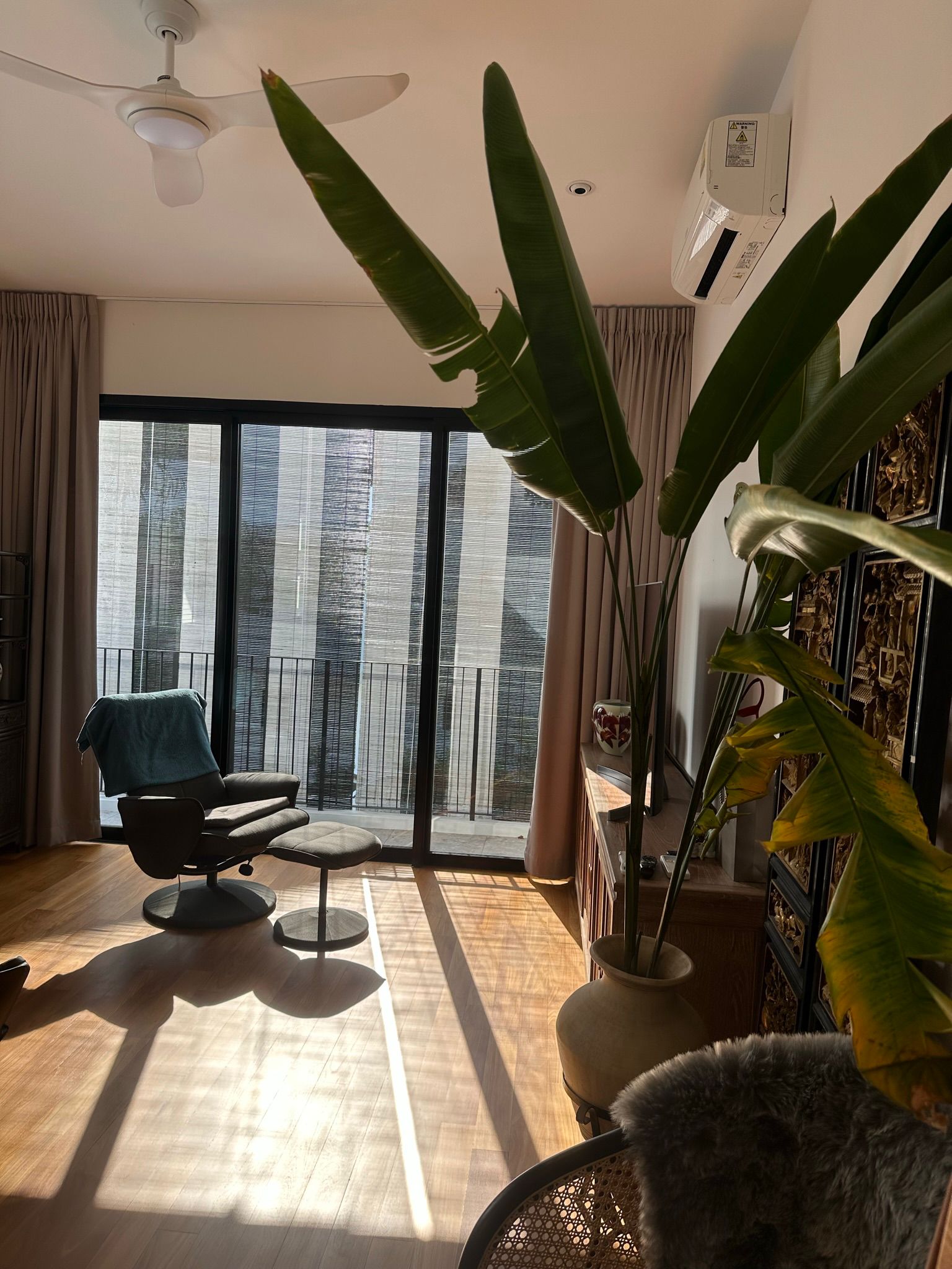 styling bedroom with existing furniture - sunlight streaming into room, large green plant, modern living room, wooden floor