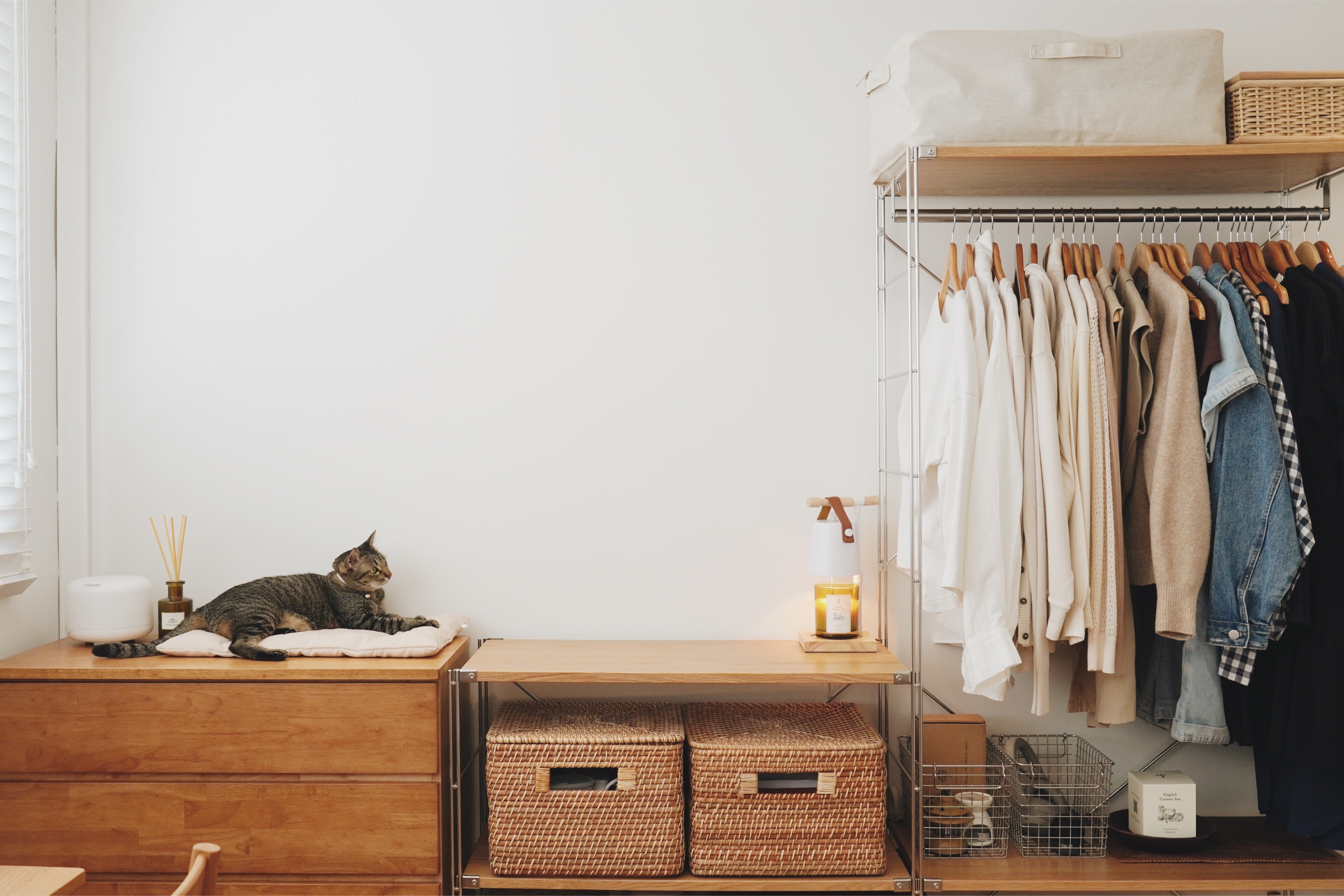 Intro:-Minimalist-Style-Cozy-Living-with-a-Cat