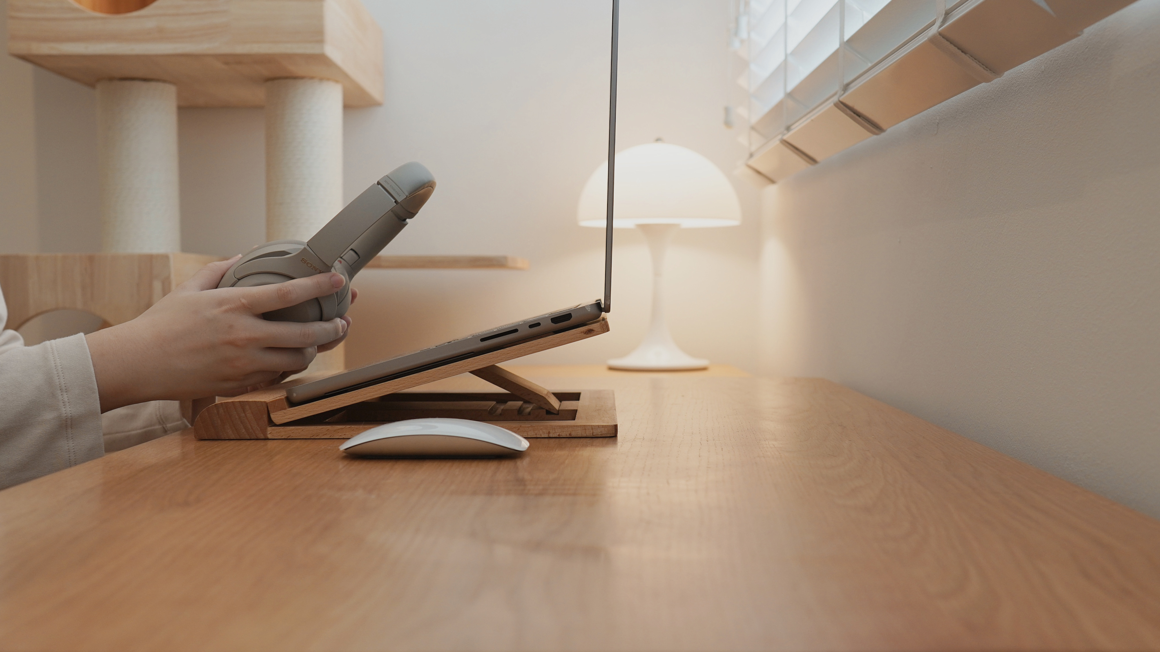 Intro:-Minimalist-Style-Cozy-Living-with-a-Cat