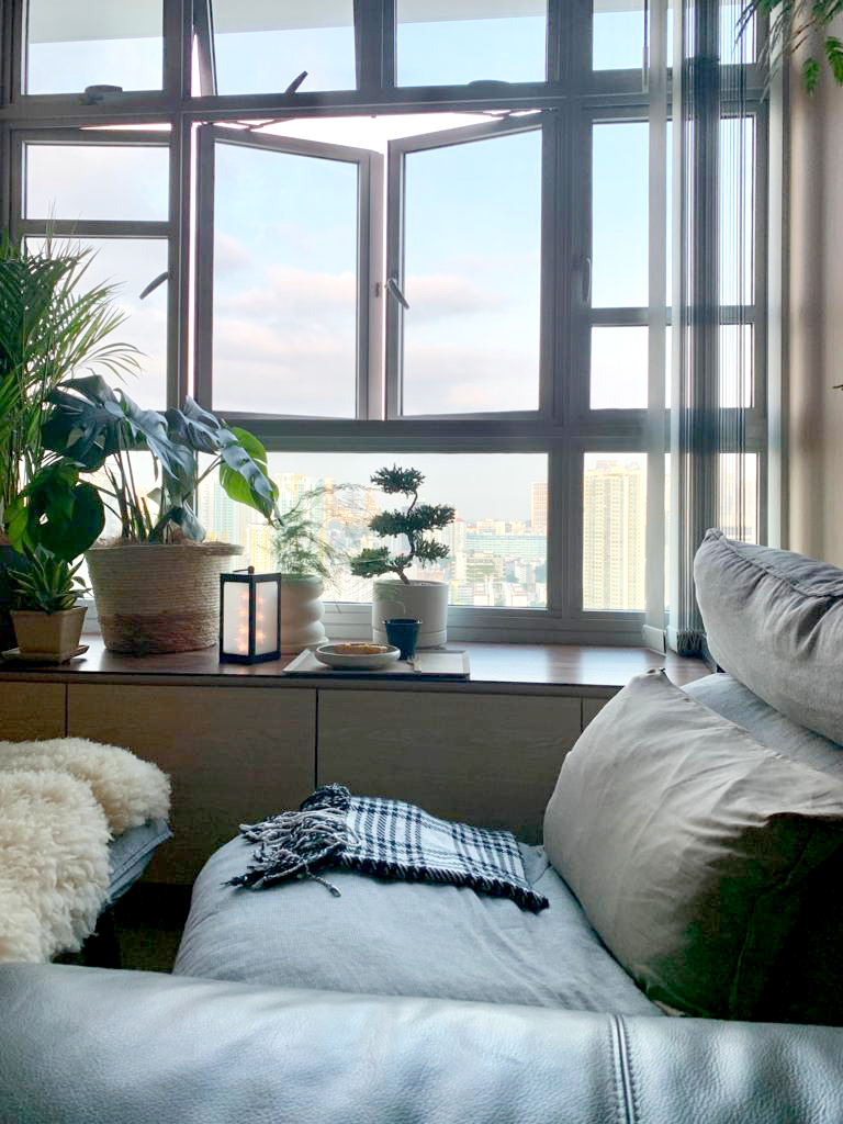 Light-Up-The-Plant-|-Cosy-Corner-