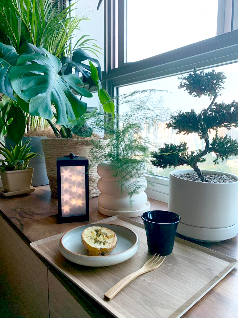 Light Up The Plant | Cosy Corner  - Large green leafy plant, indoor setting, potted plants, natural light, indoor garden