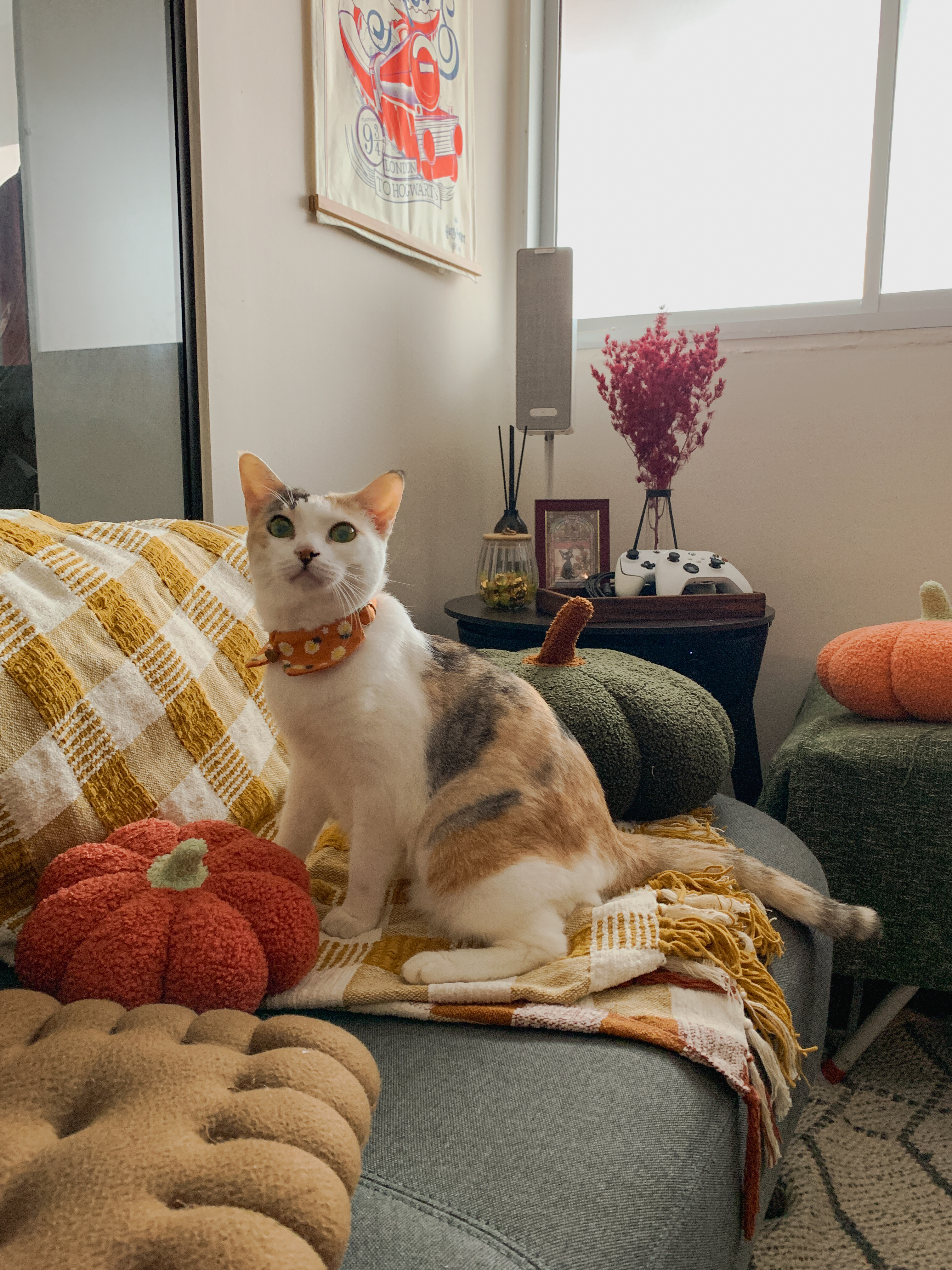 Styling-a-Cosy-Corner-for-an-Autumnal-Mood