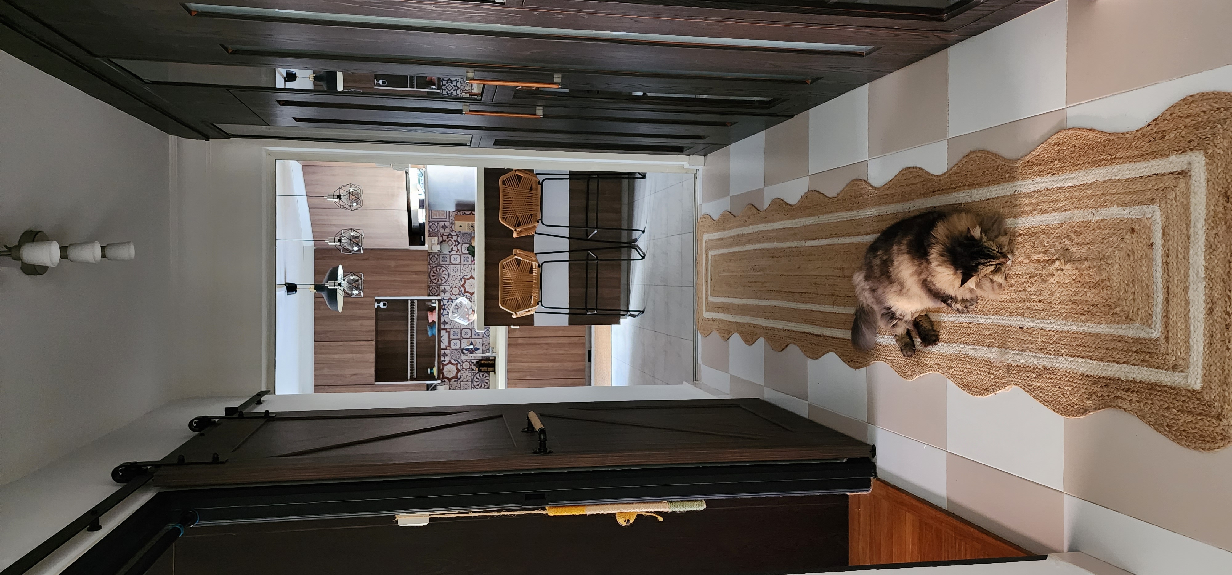 Modern Rustic with a touch of Scandinavian - Dark wooden doors, modern interior design, cat sleeping on rug, beige and brown