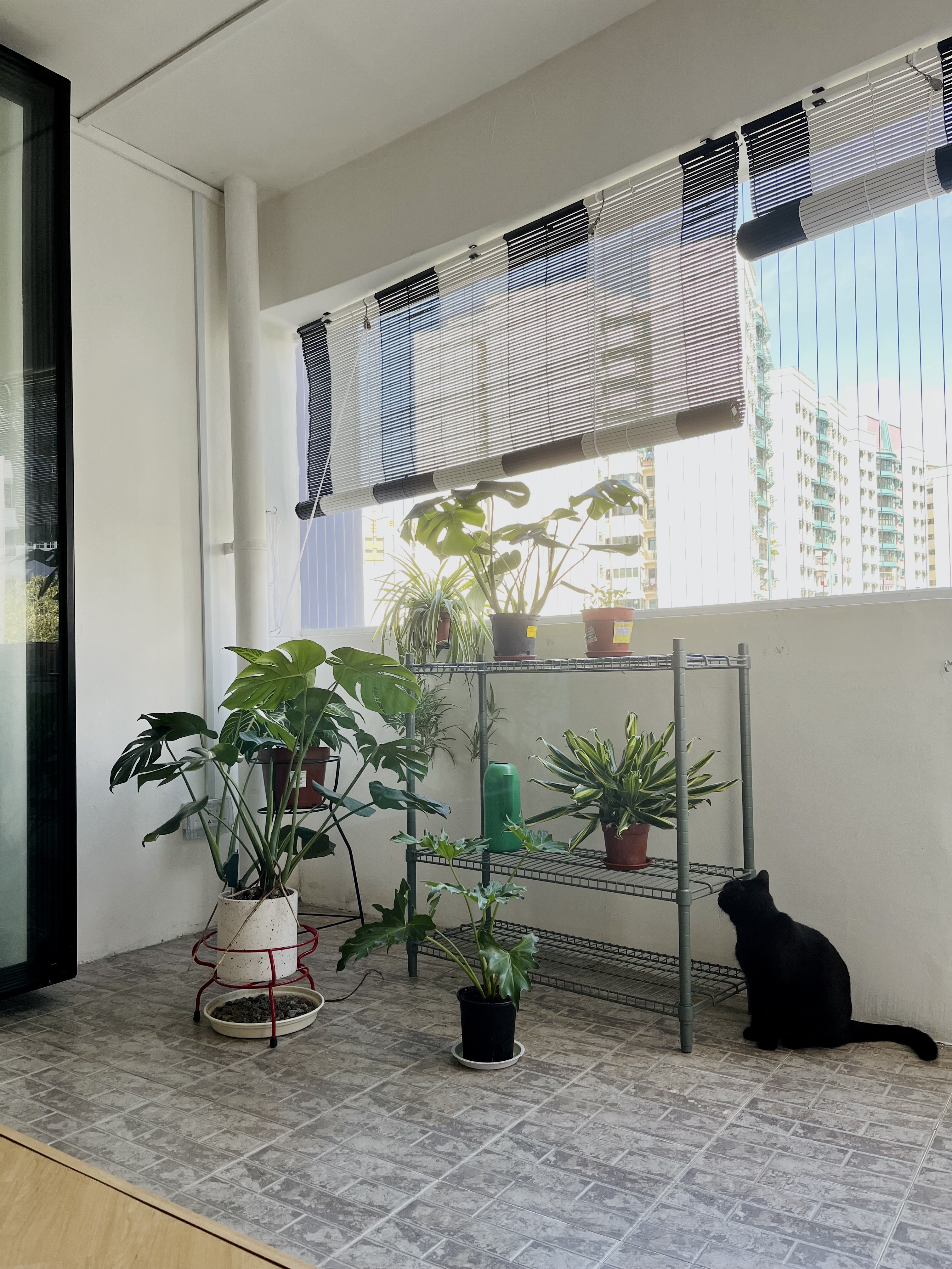 Home Sweet Kindercore - Where Fun Meets Comfort - Large green plants, indoor setting, multi-potted plants, white and black