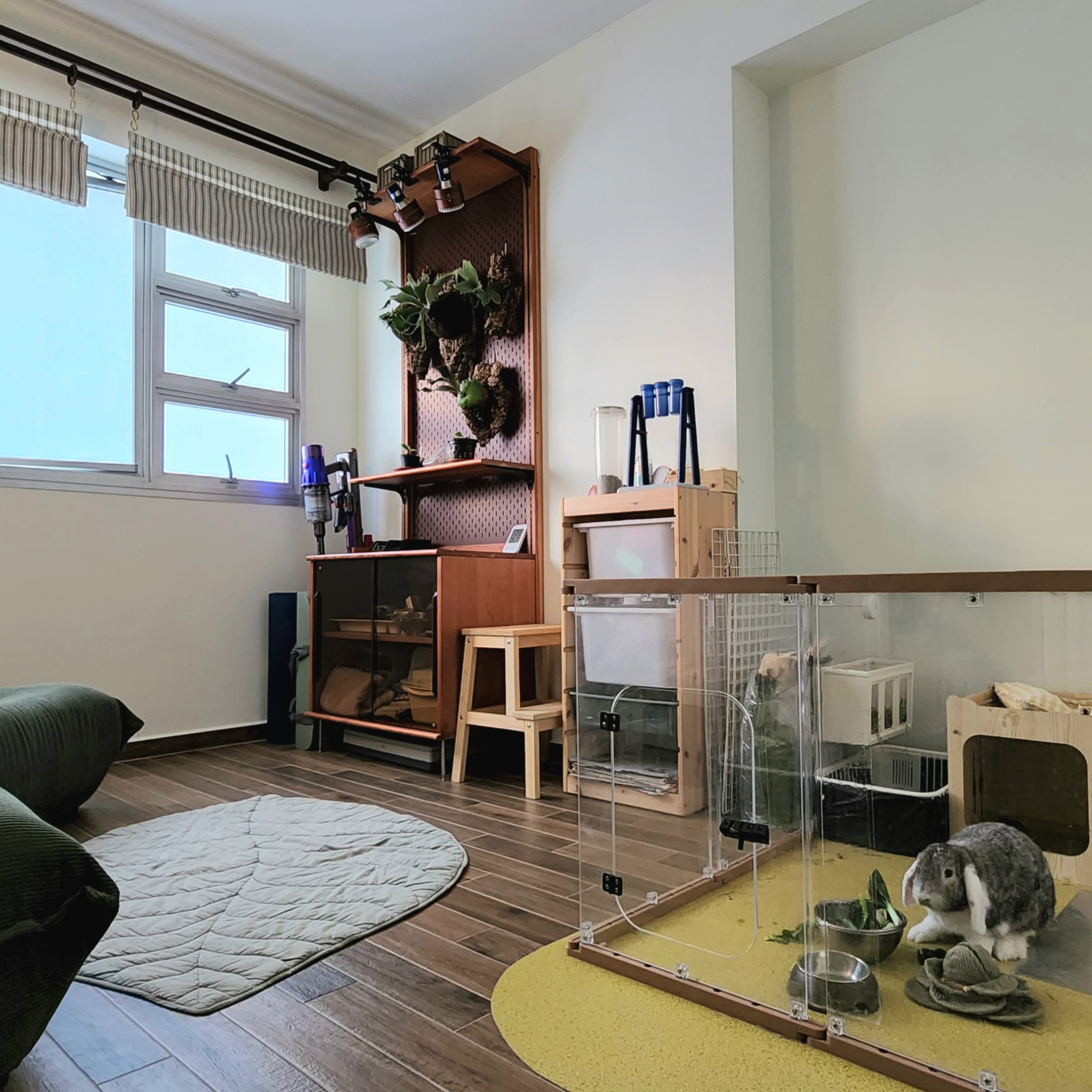 Come in, where it's always autumn (Zakka Vintage BTO) - Wooden shelves, green plants, indoor rabbit enclosure, gray and white