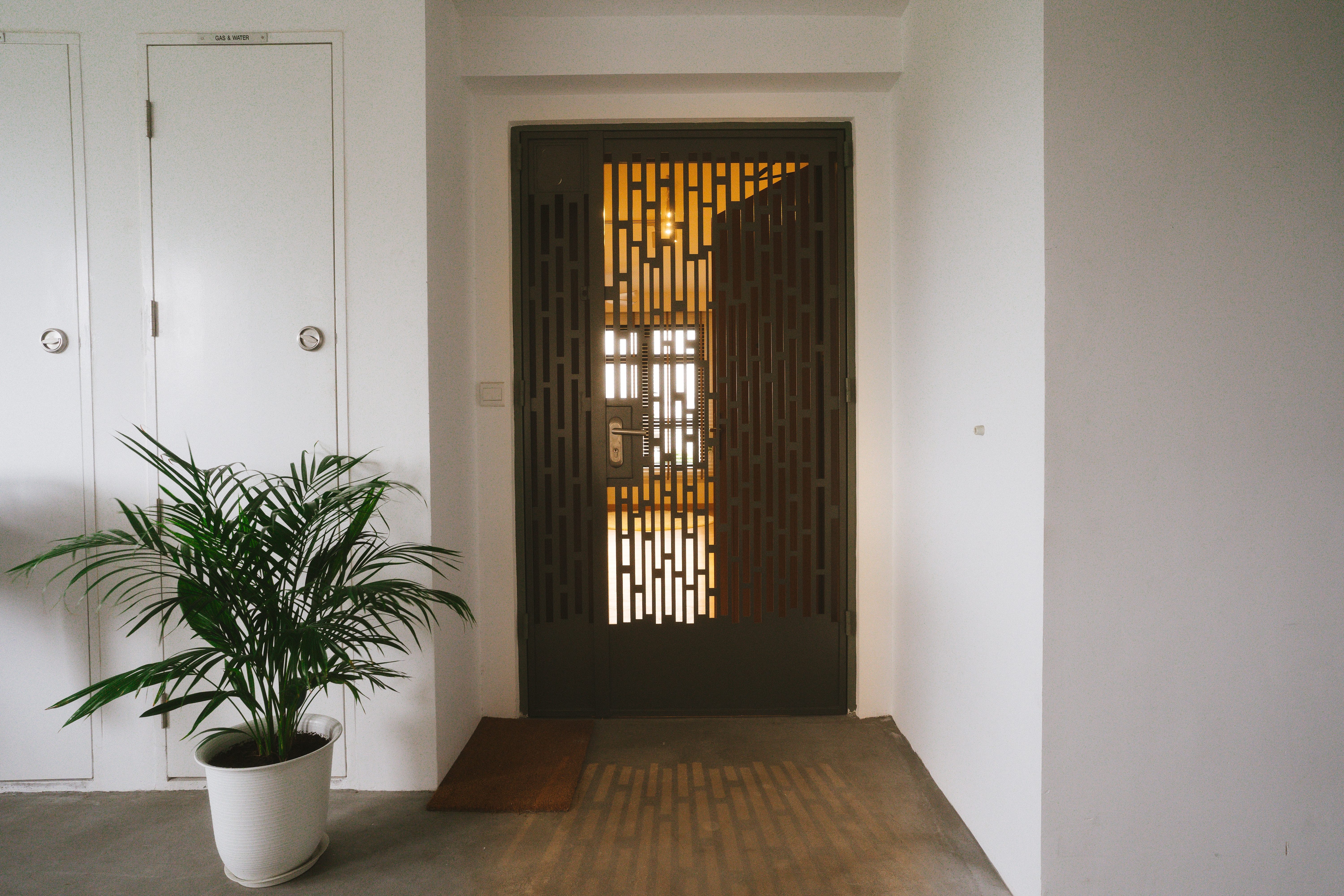 Welcome to OurTayHouse | Home tour | 3-Rm BTO | Bidadari - White door, indoor setting, potted plant, green leaves, indoor