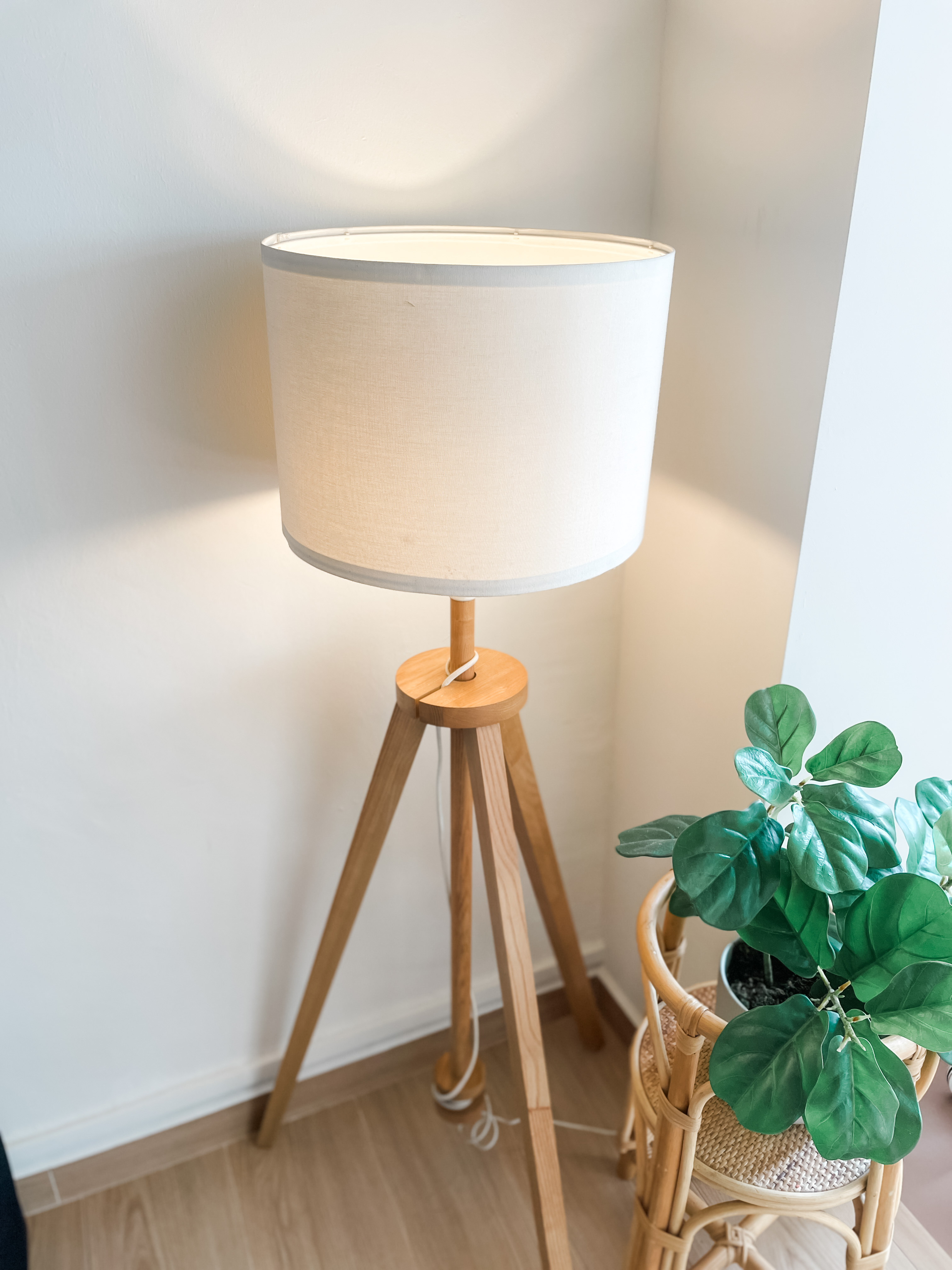 Step Into Our Snug & Soothing Living Space - Lamp with beige shade, wooden stand, natural light, minimalist decor, green