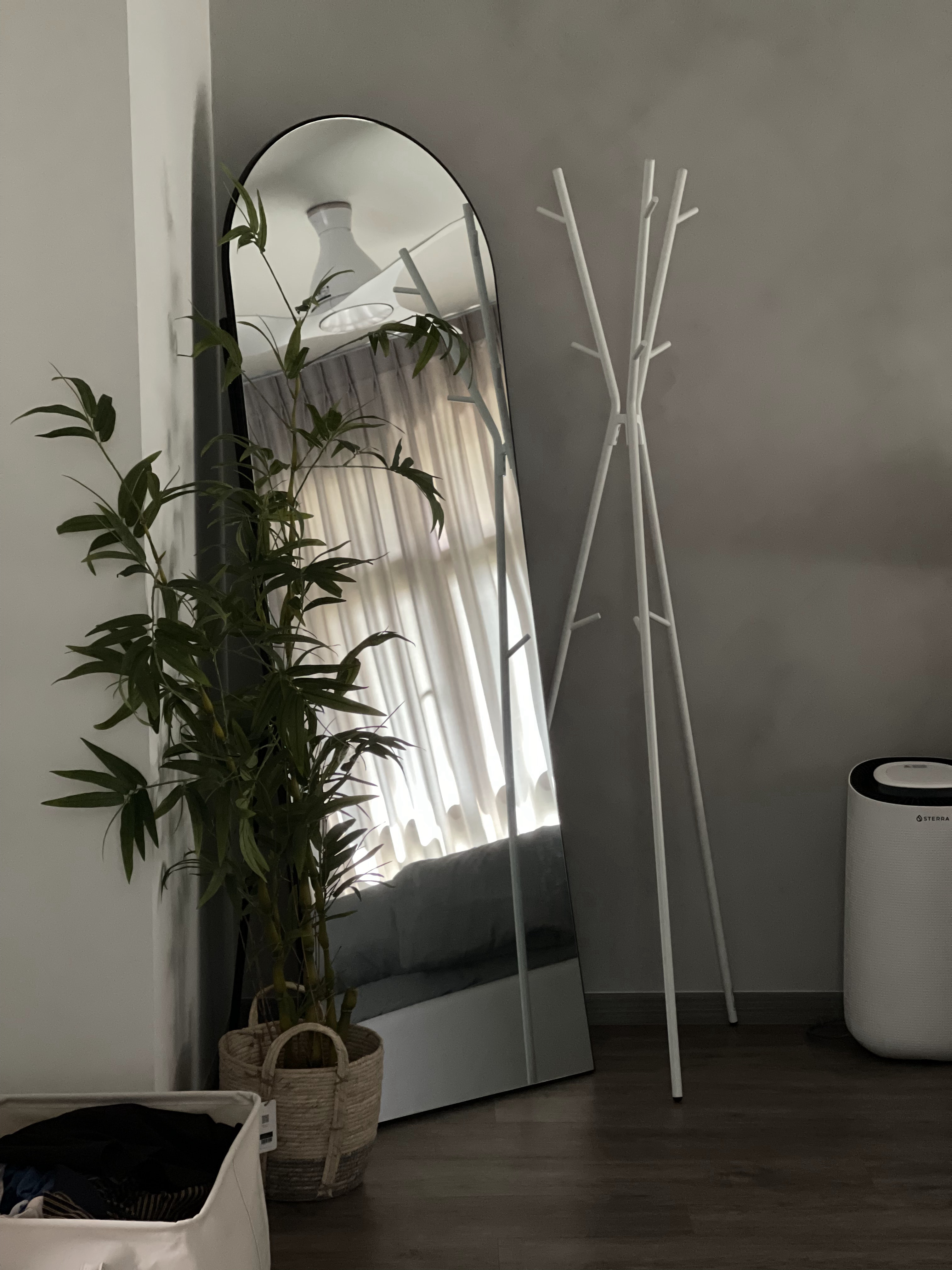 Trunks and Trees Inspired Home