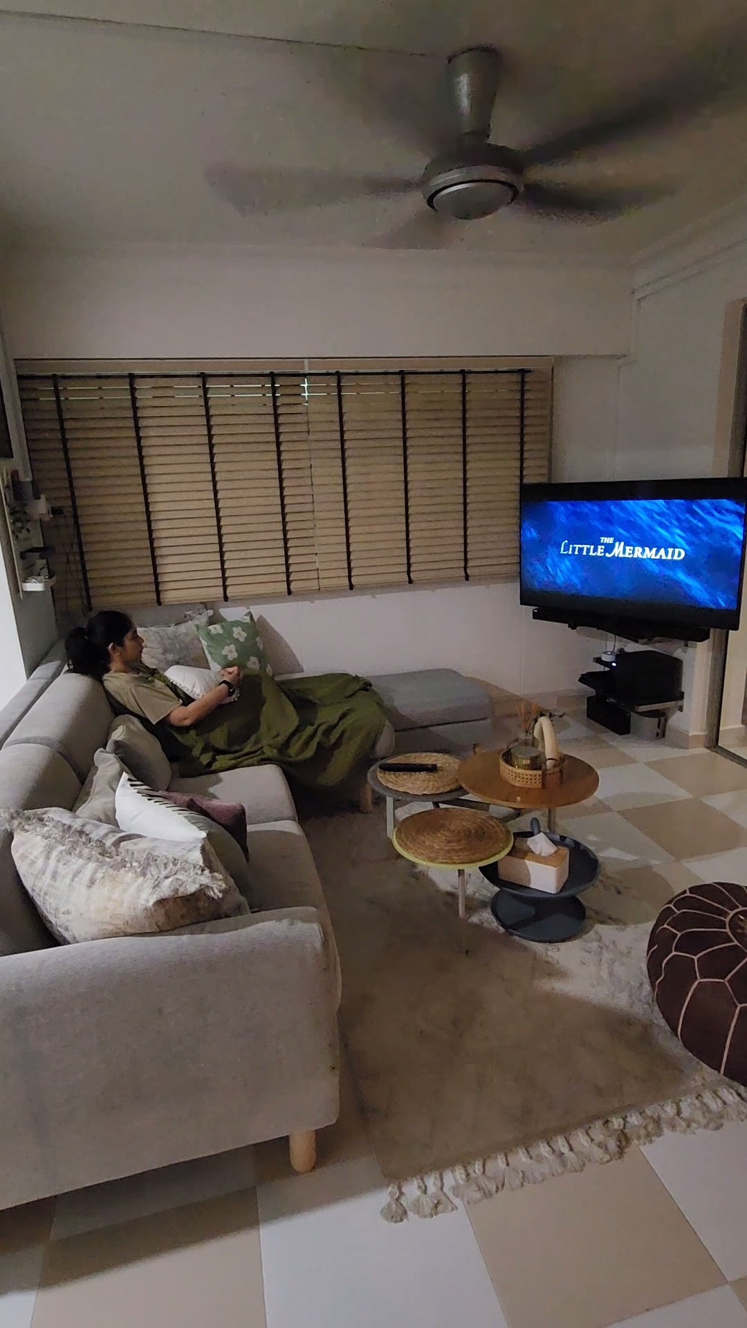 Minimal Cozy Living room - Living room, television, movie, Little Mermaid, ceiling fan, window, blinds, sofa, pillows