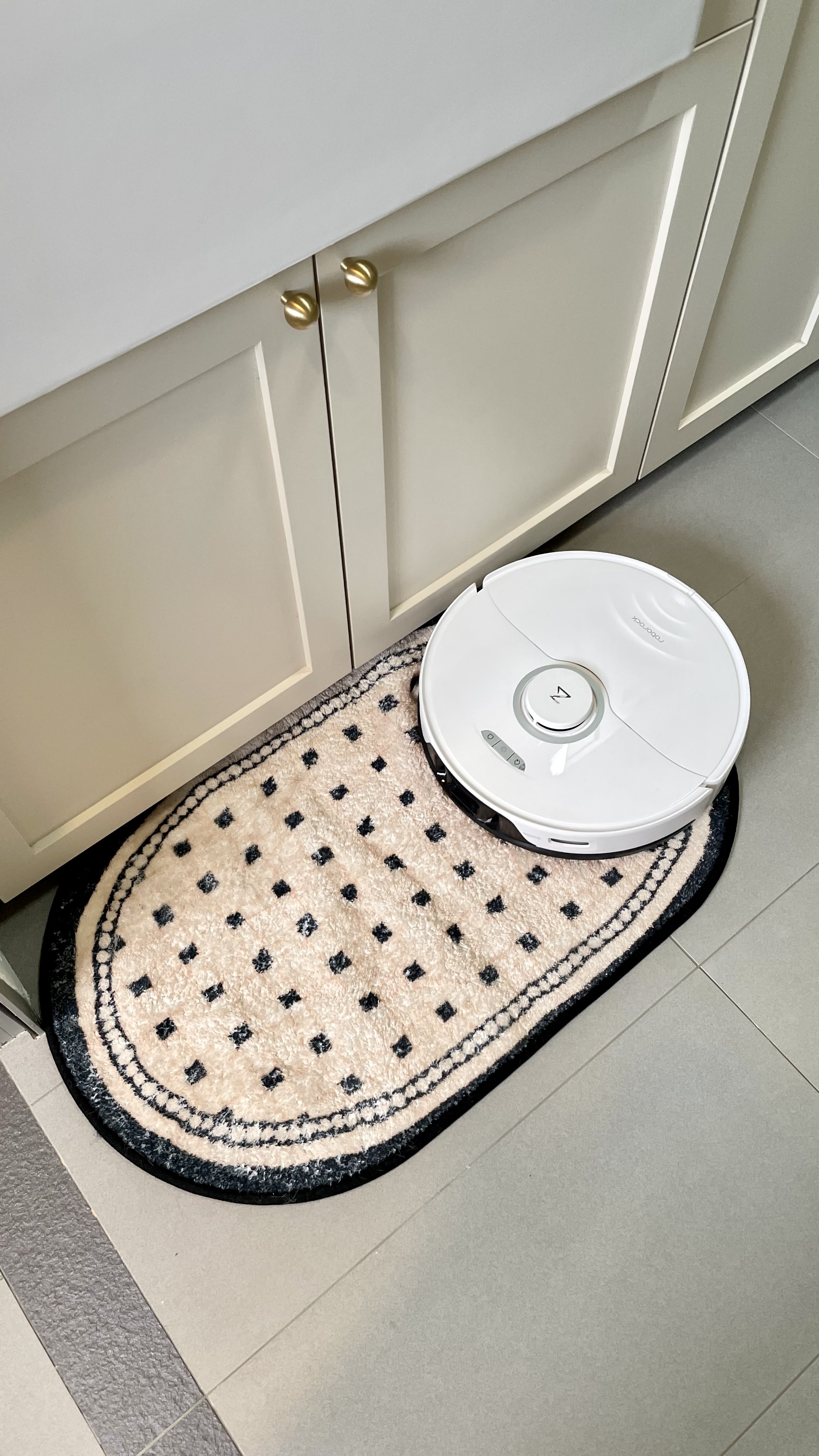 Must-have for busy homeowners - Robot Vacuum