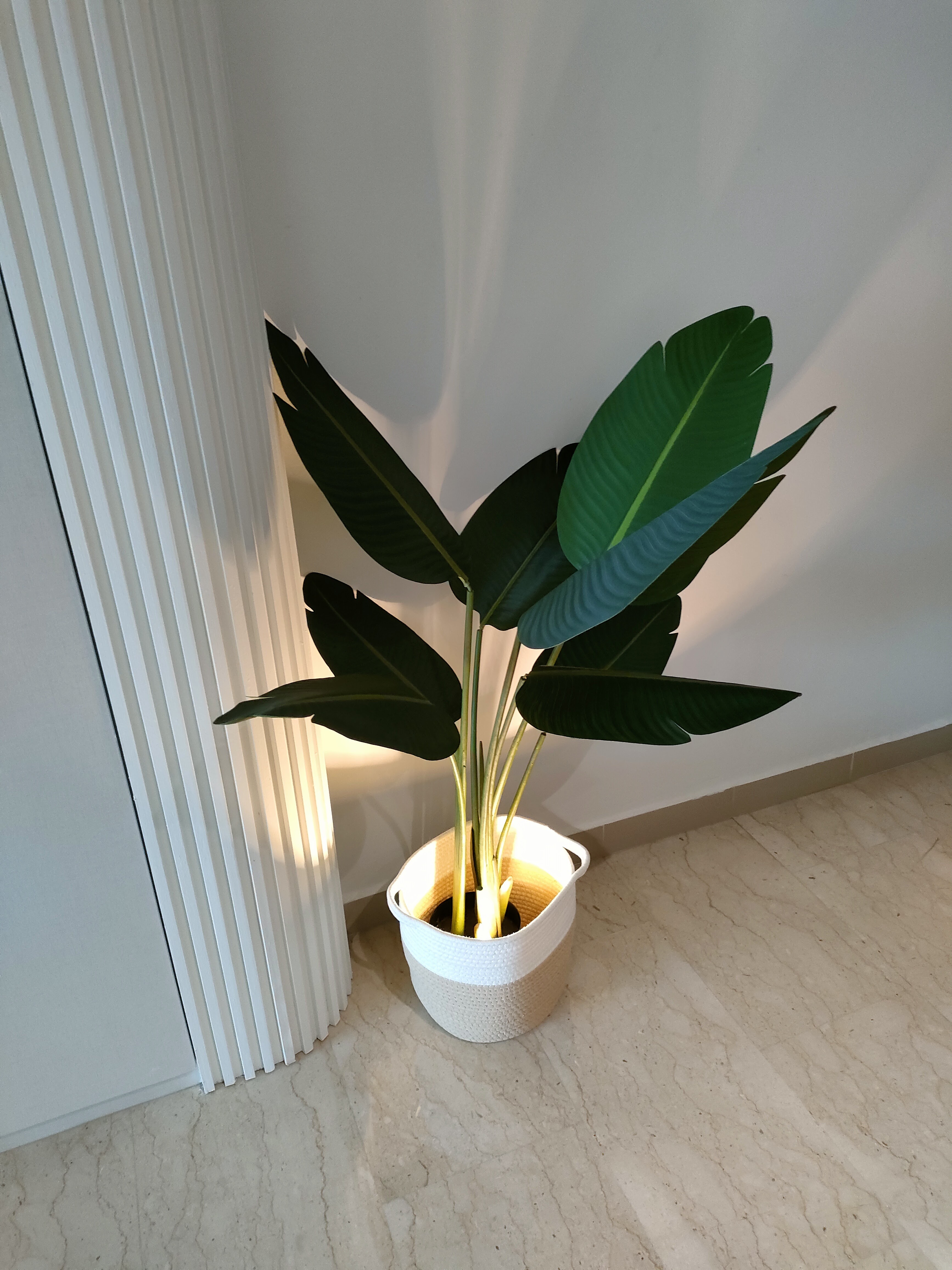 Living room where we gather for family bonding