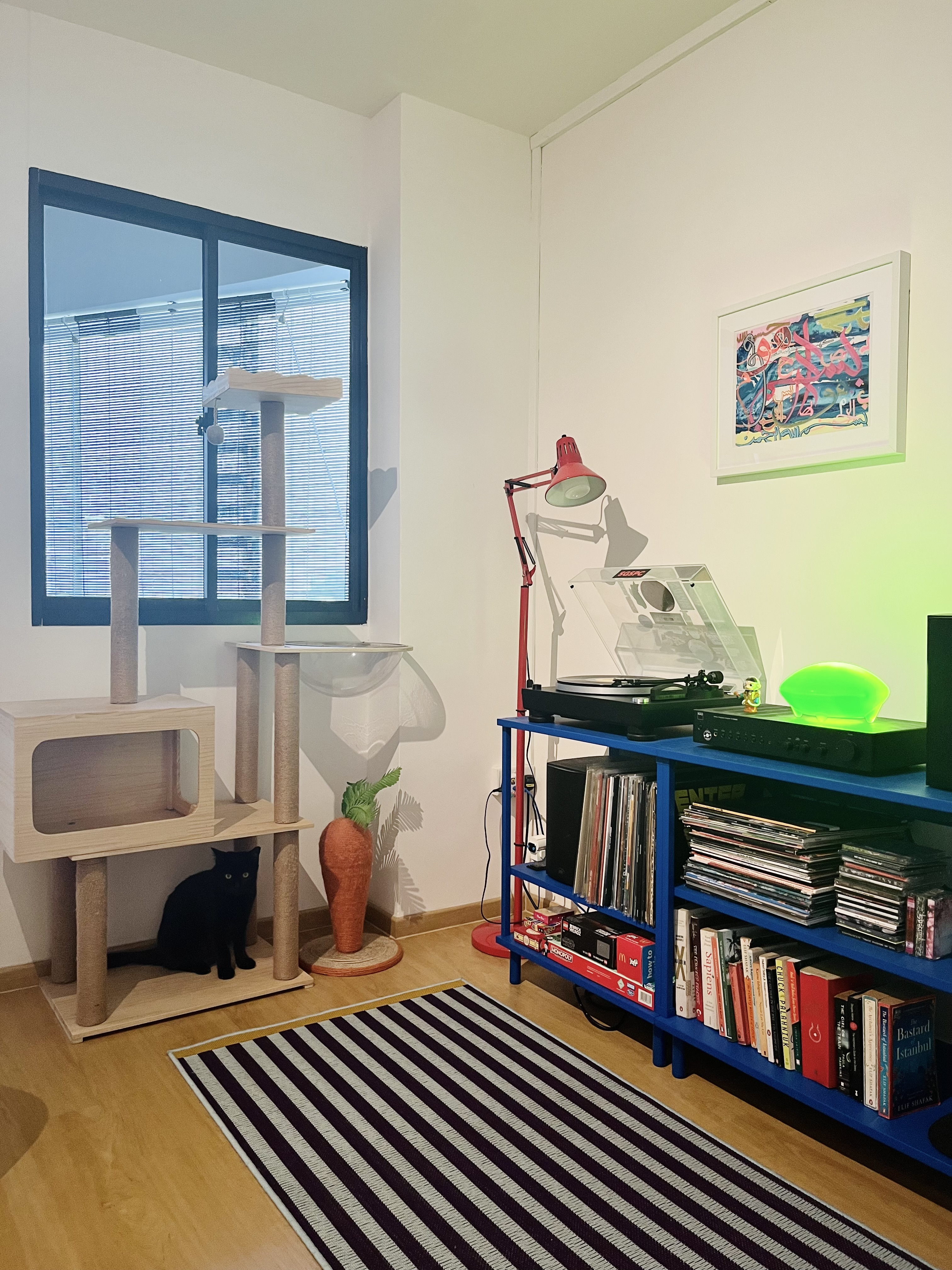 Living in Colours - Cat tree, black cat, wooden cat house, cat scratching post, cat tree with cat, cat scratching posts, cat